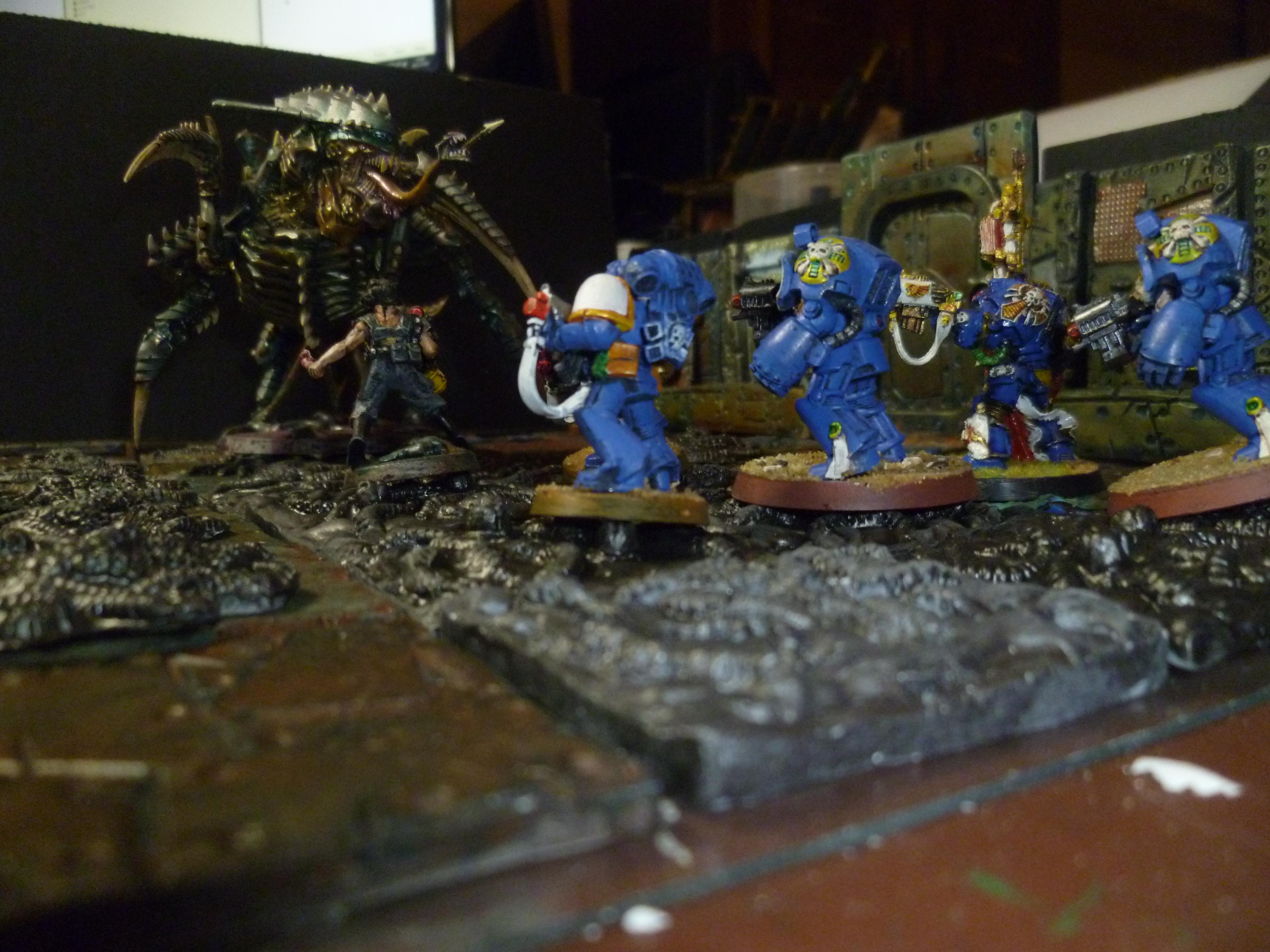 Orks, Space Hulk