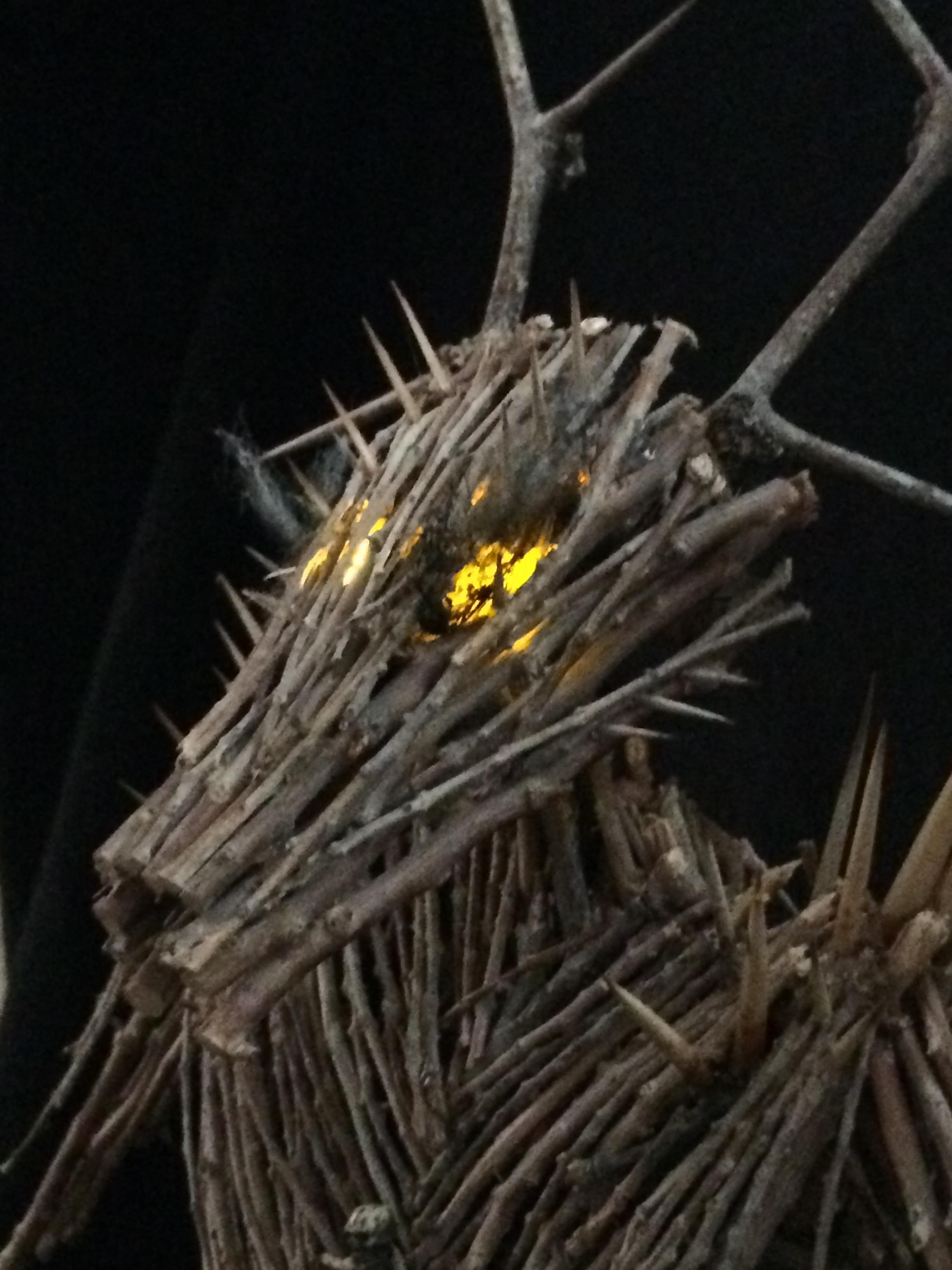 Wicker Man Complete 4