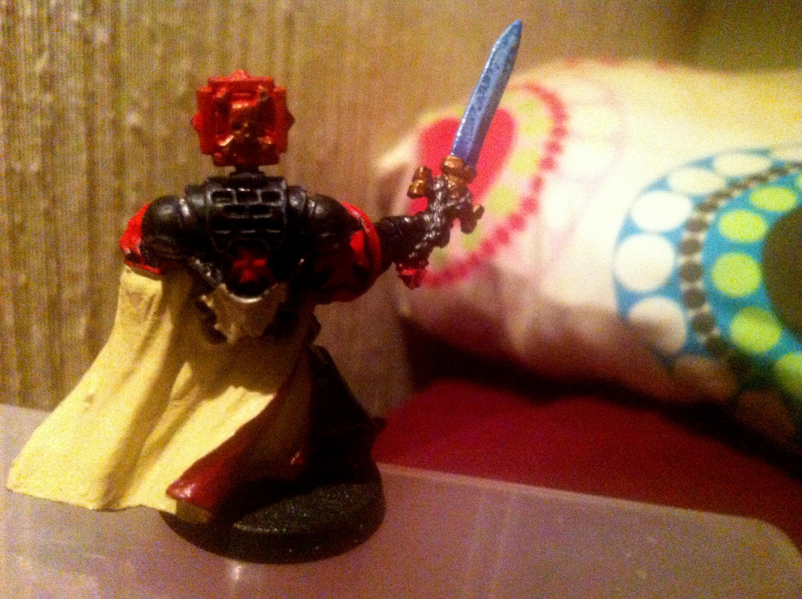 Honour Guard Champion