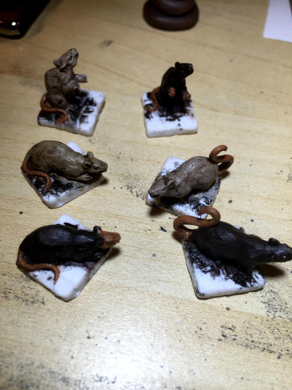 rats