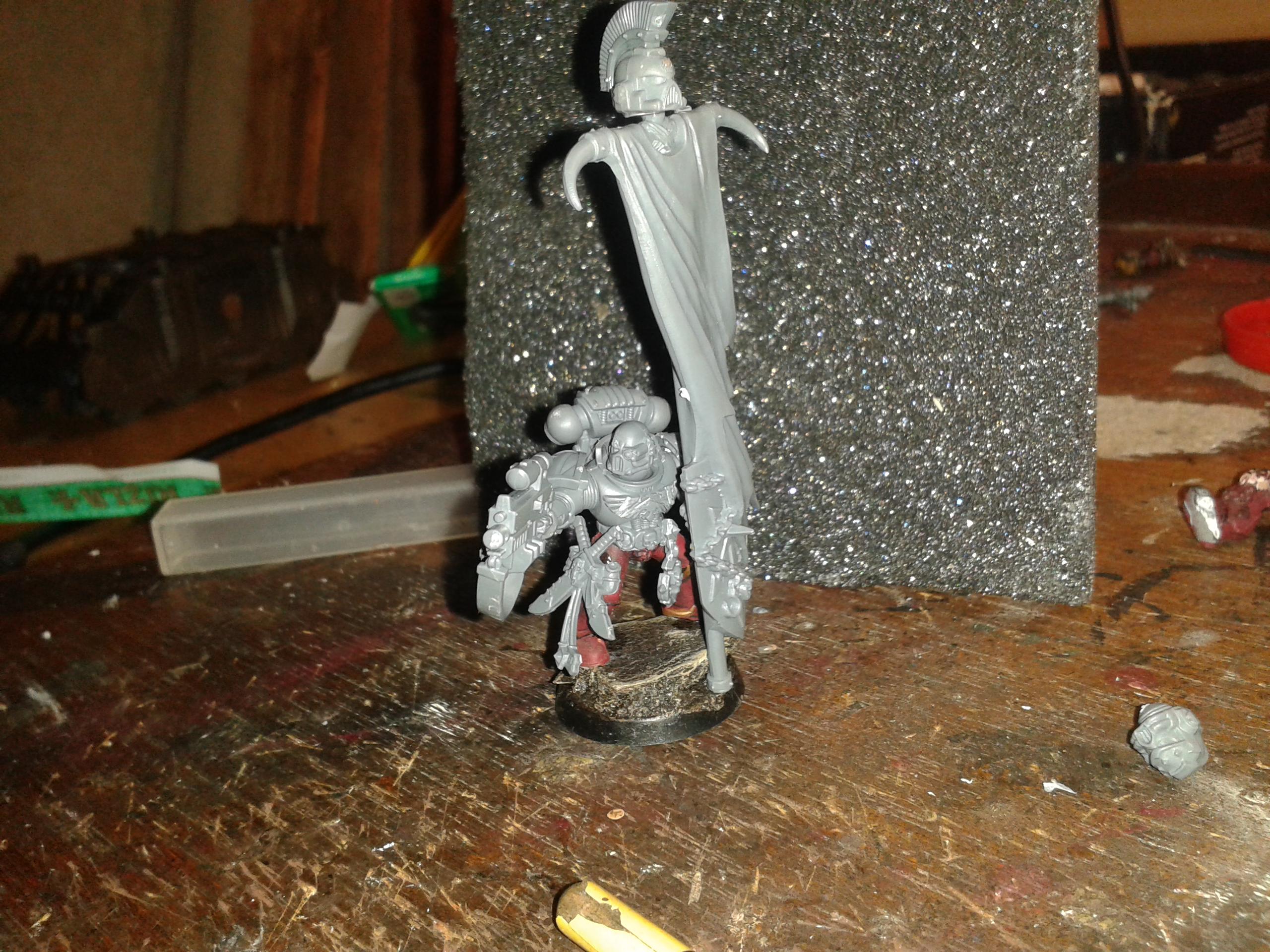 void wolves standard bearer