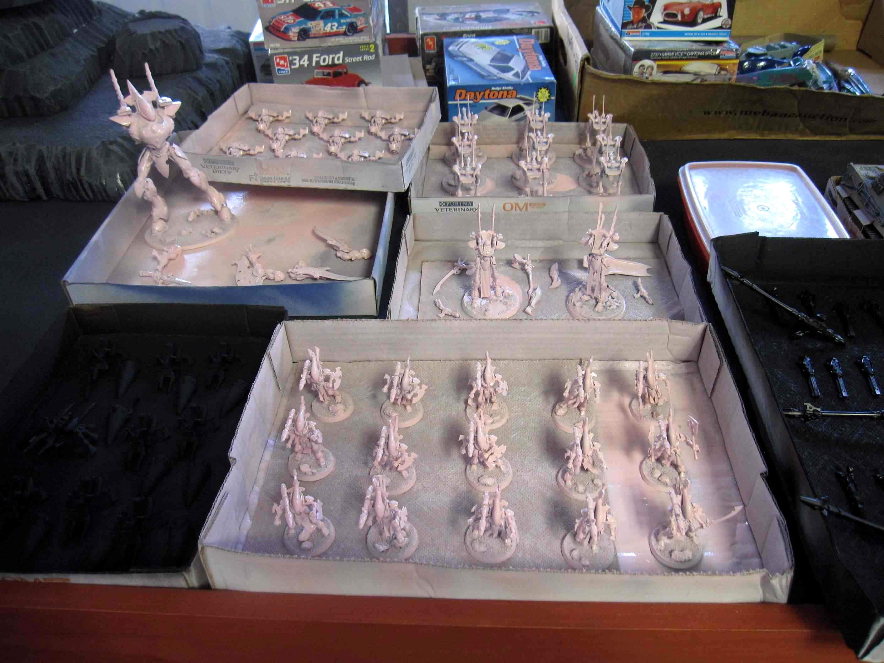 eldar
