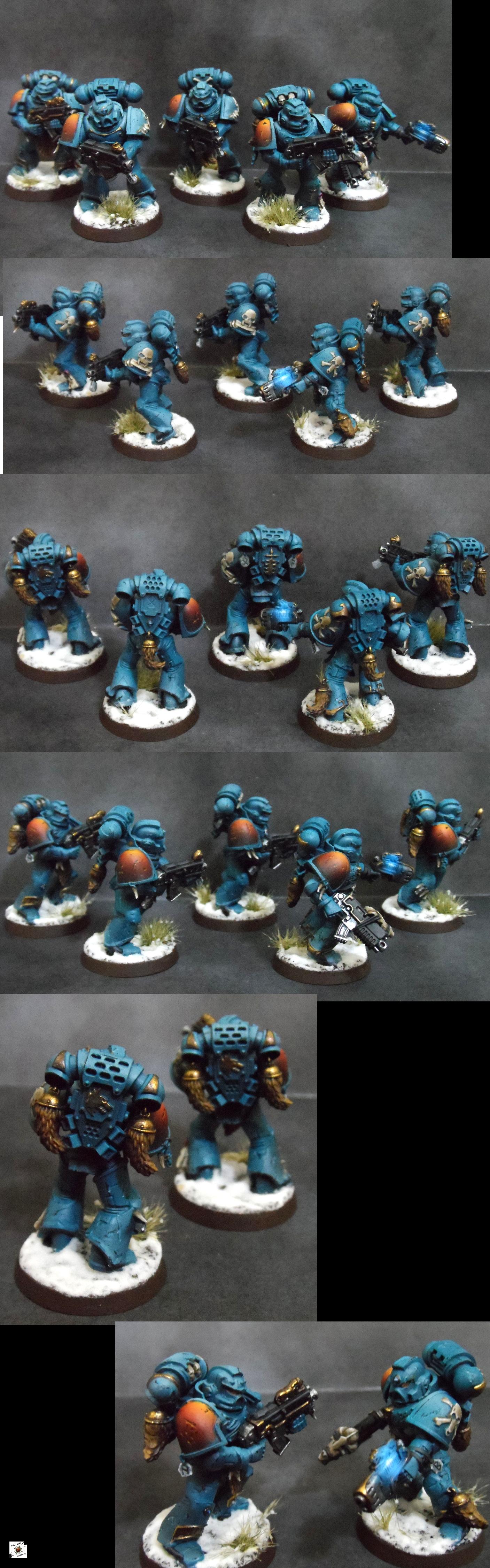 40k Warhammer, Grey Hunters Alternate, Space Wolves