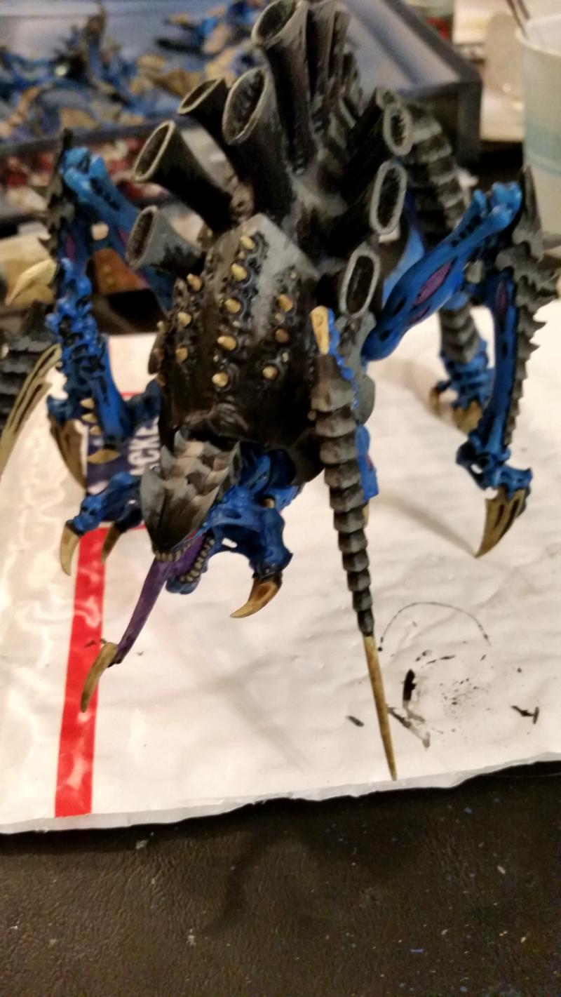 terv1