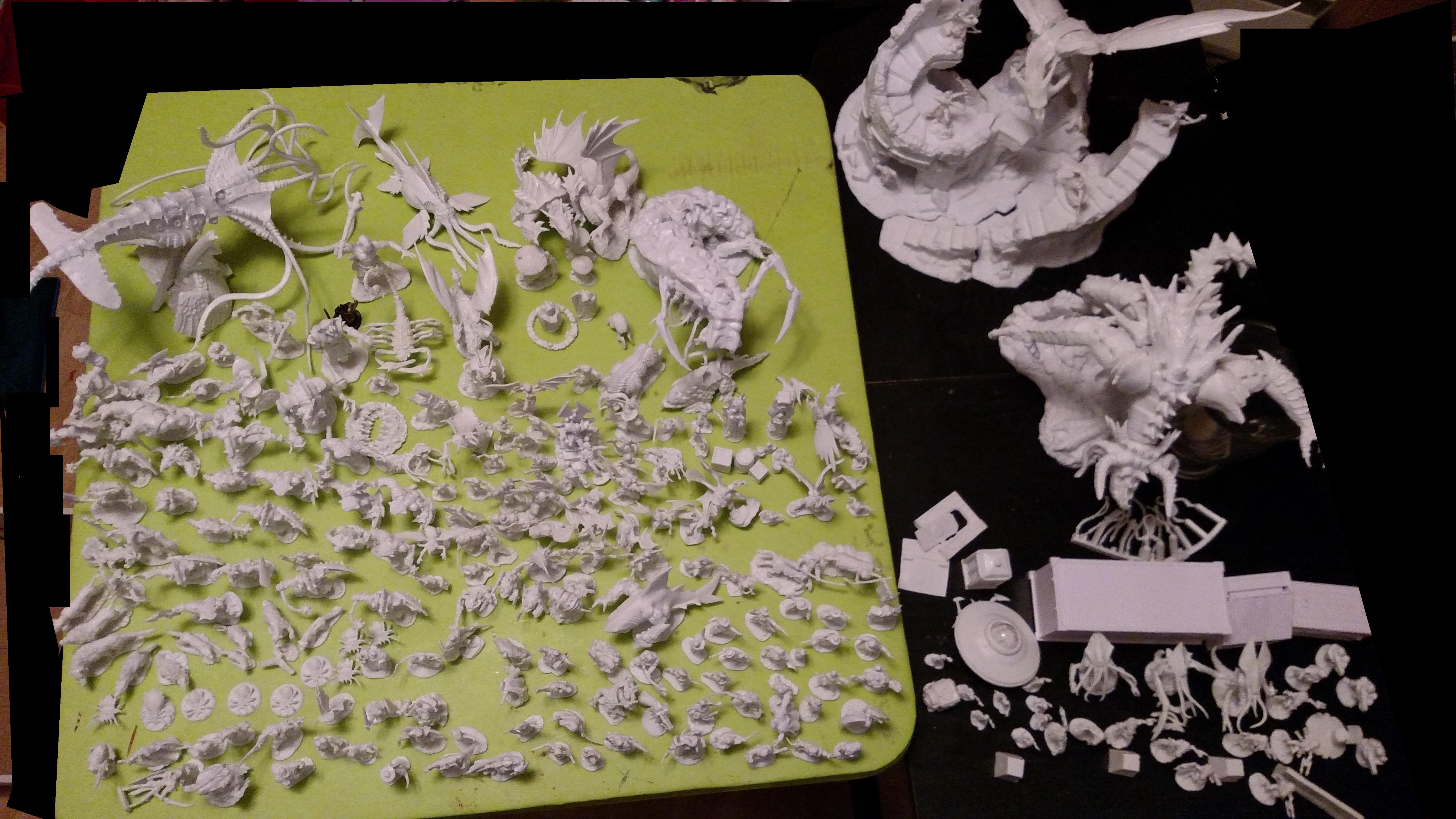 Bones 2 order