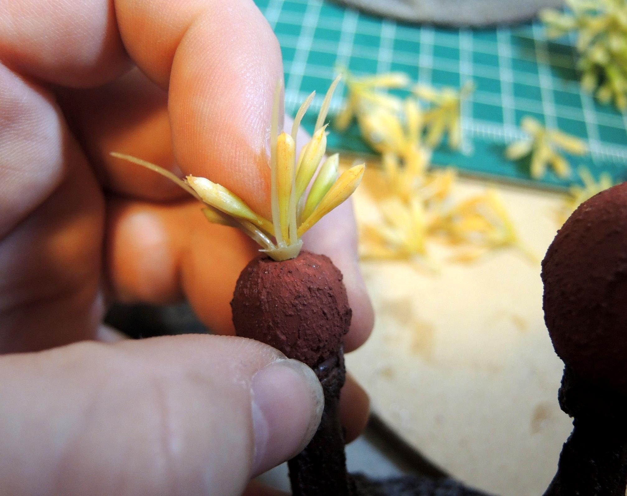 Terrain, Waaazag, Work In Progress