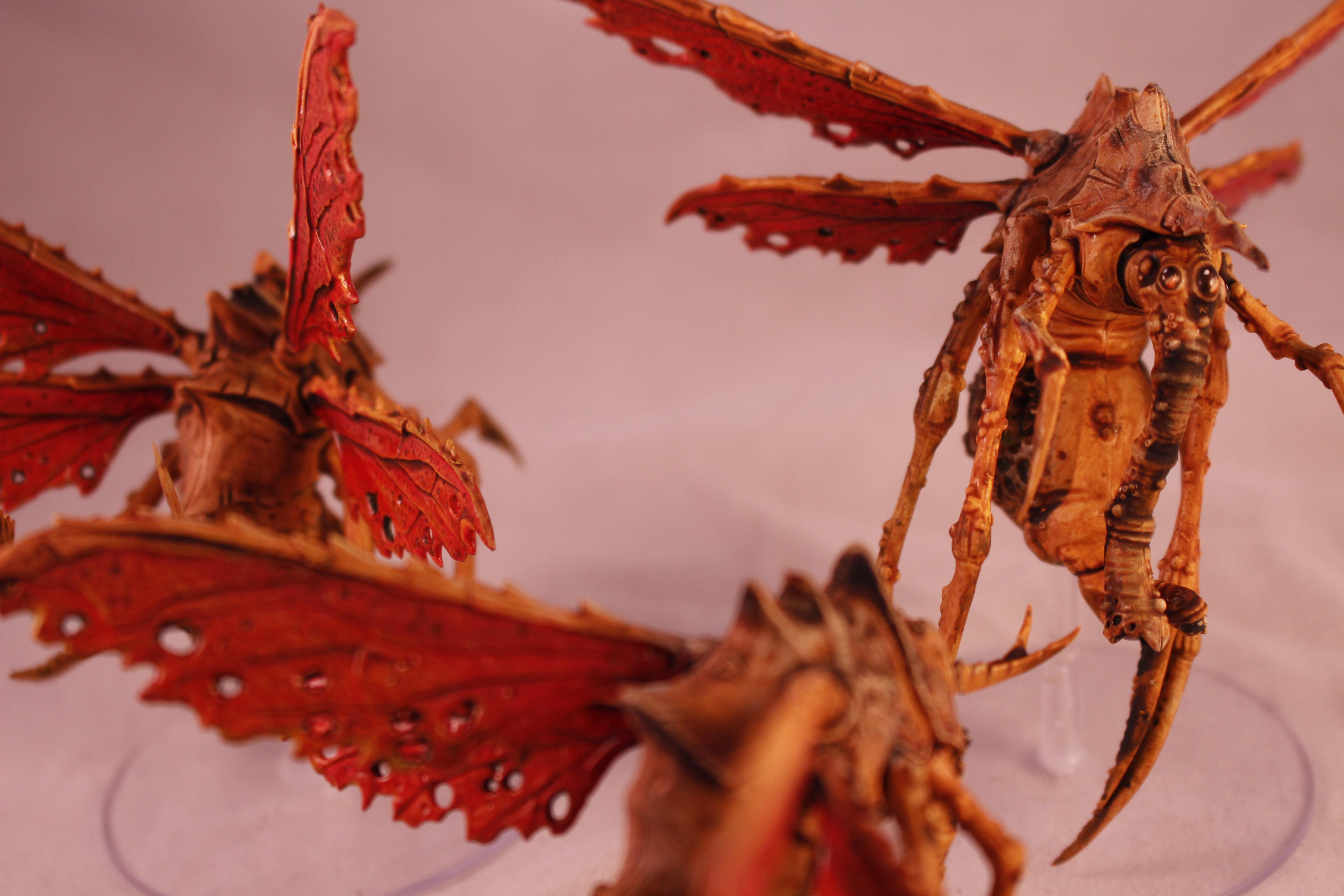 Nurgle, Plague Drones