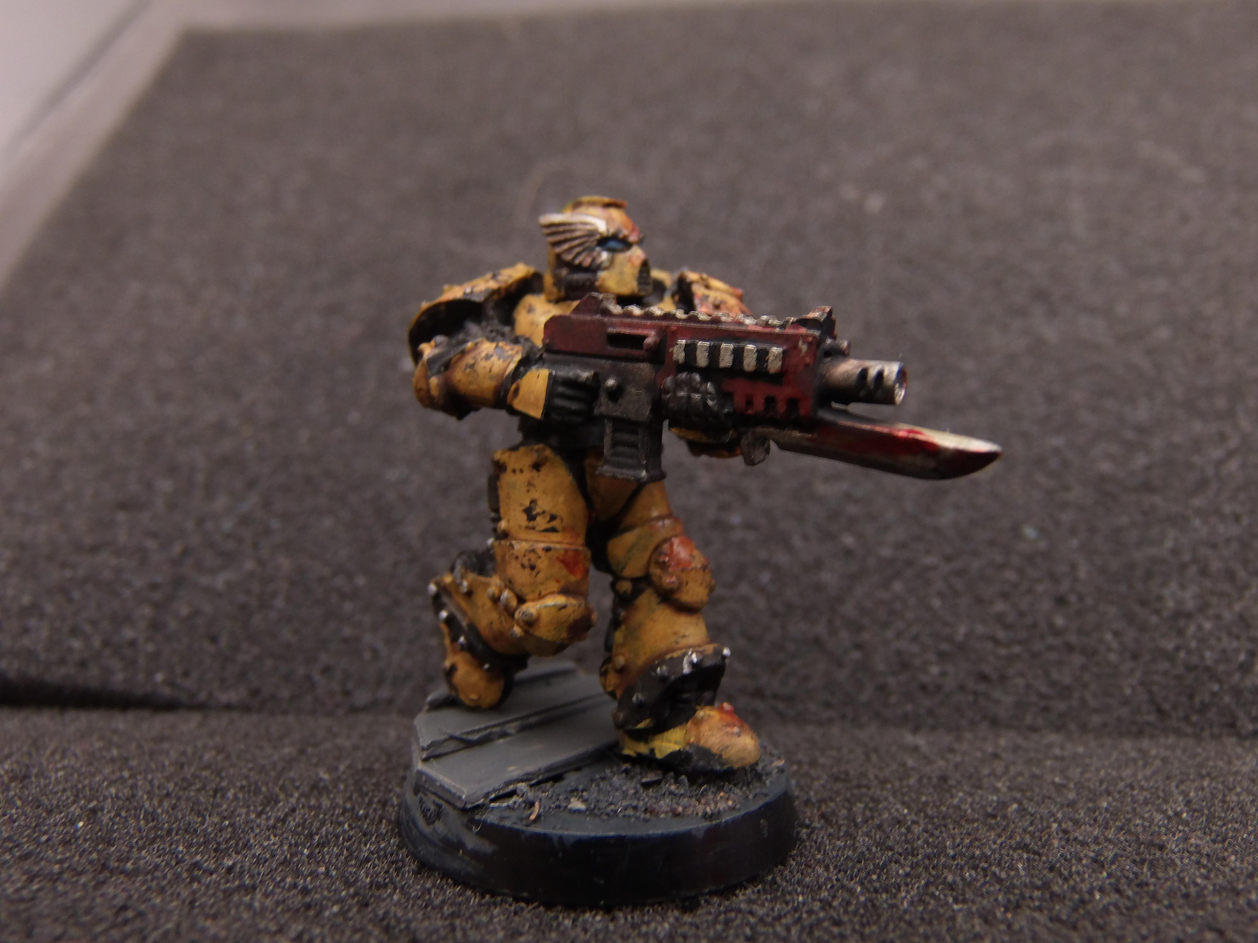 Sternguard Veteran 5