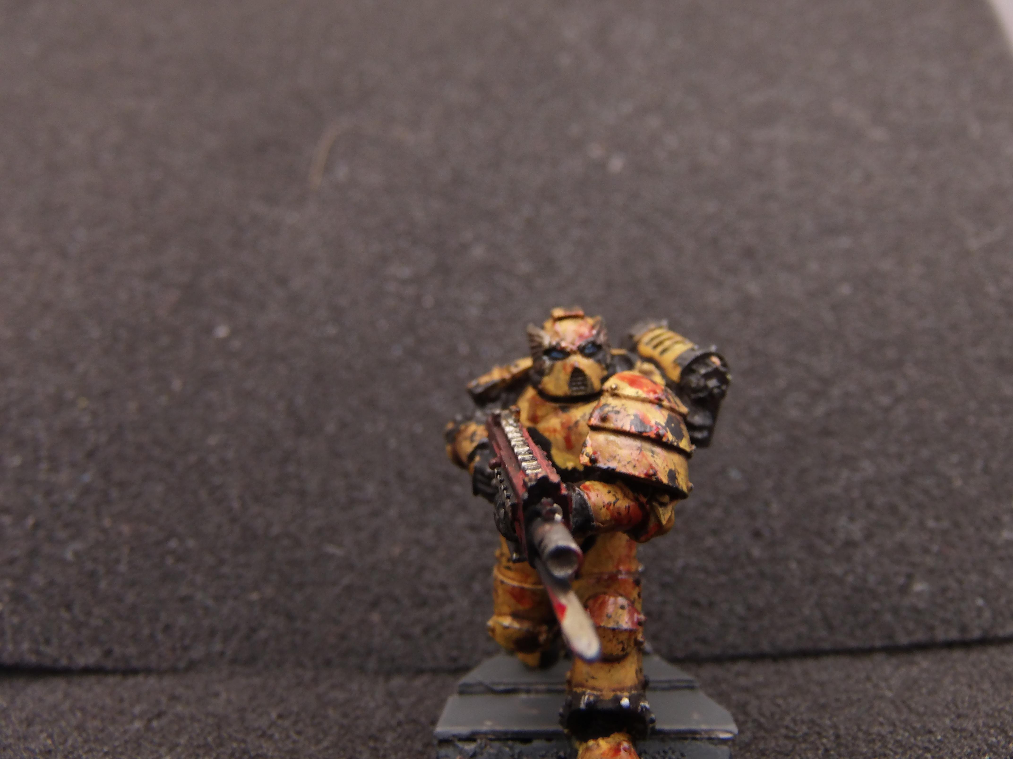 Sternguard Veteran 5