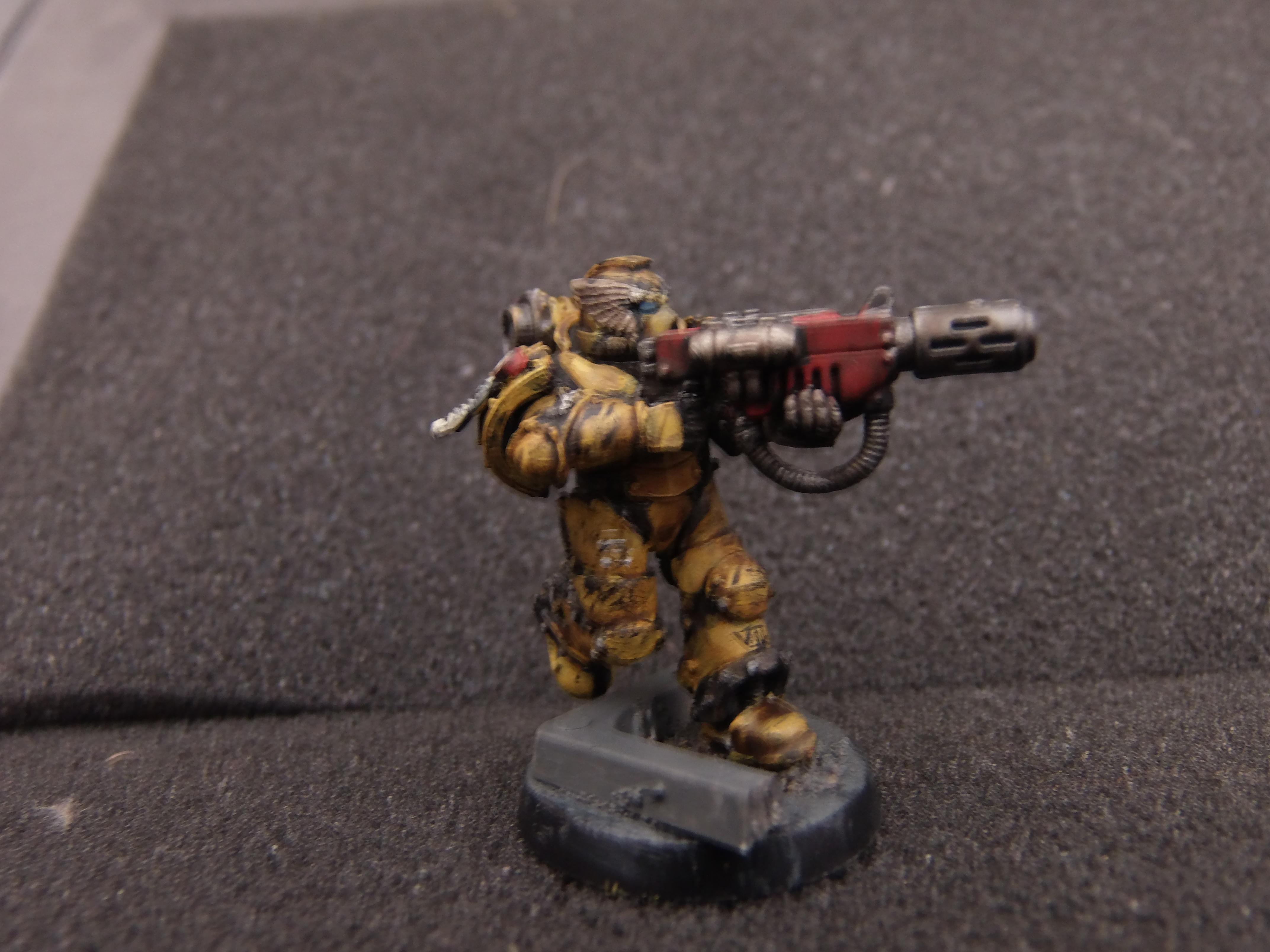 Sternguard Veteran 6