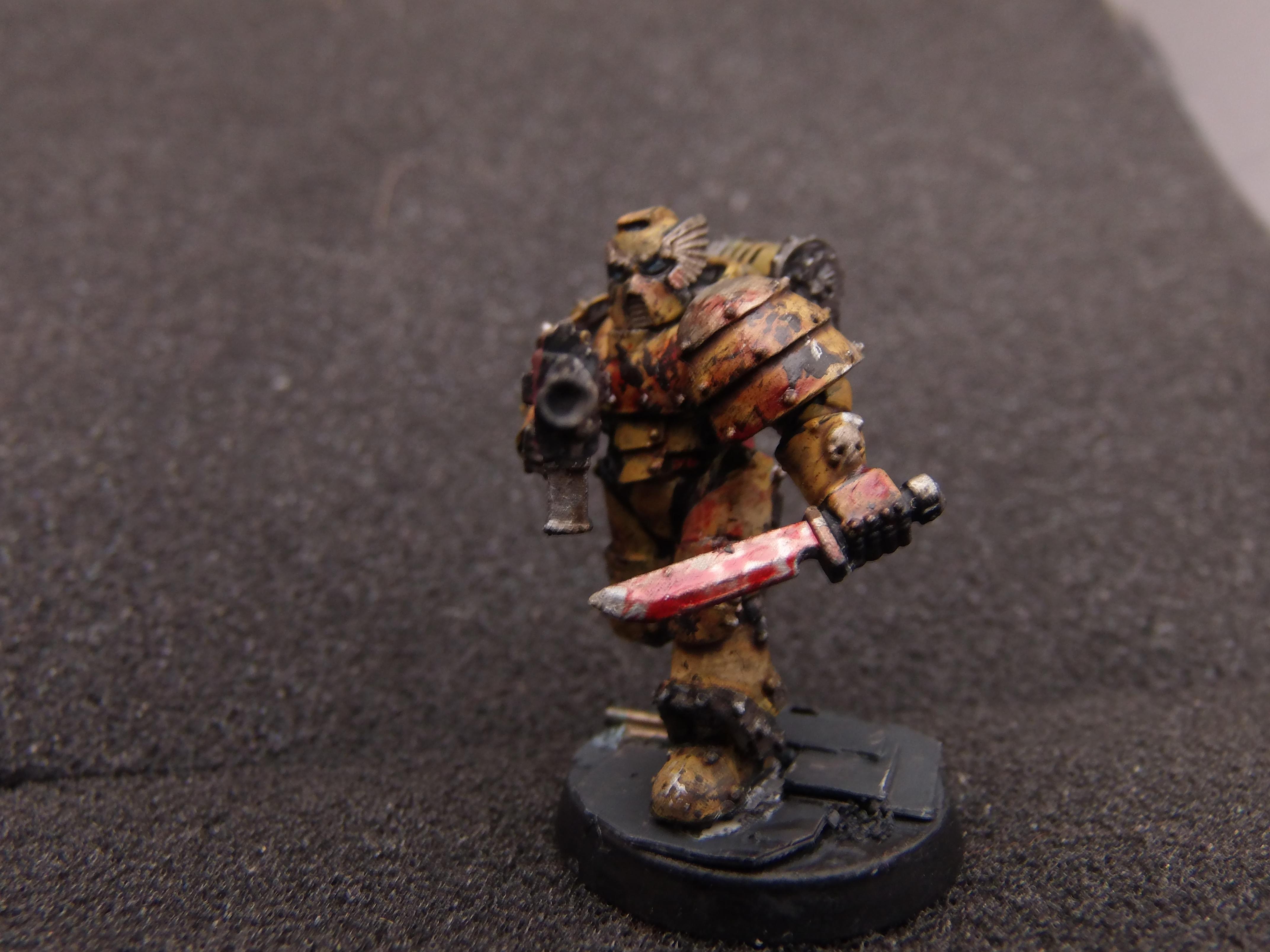 Sternguard Veteran 7