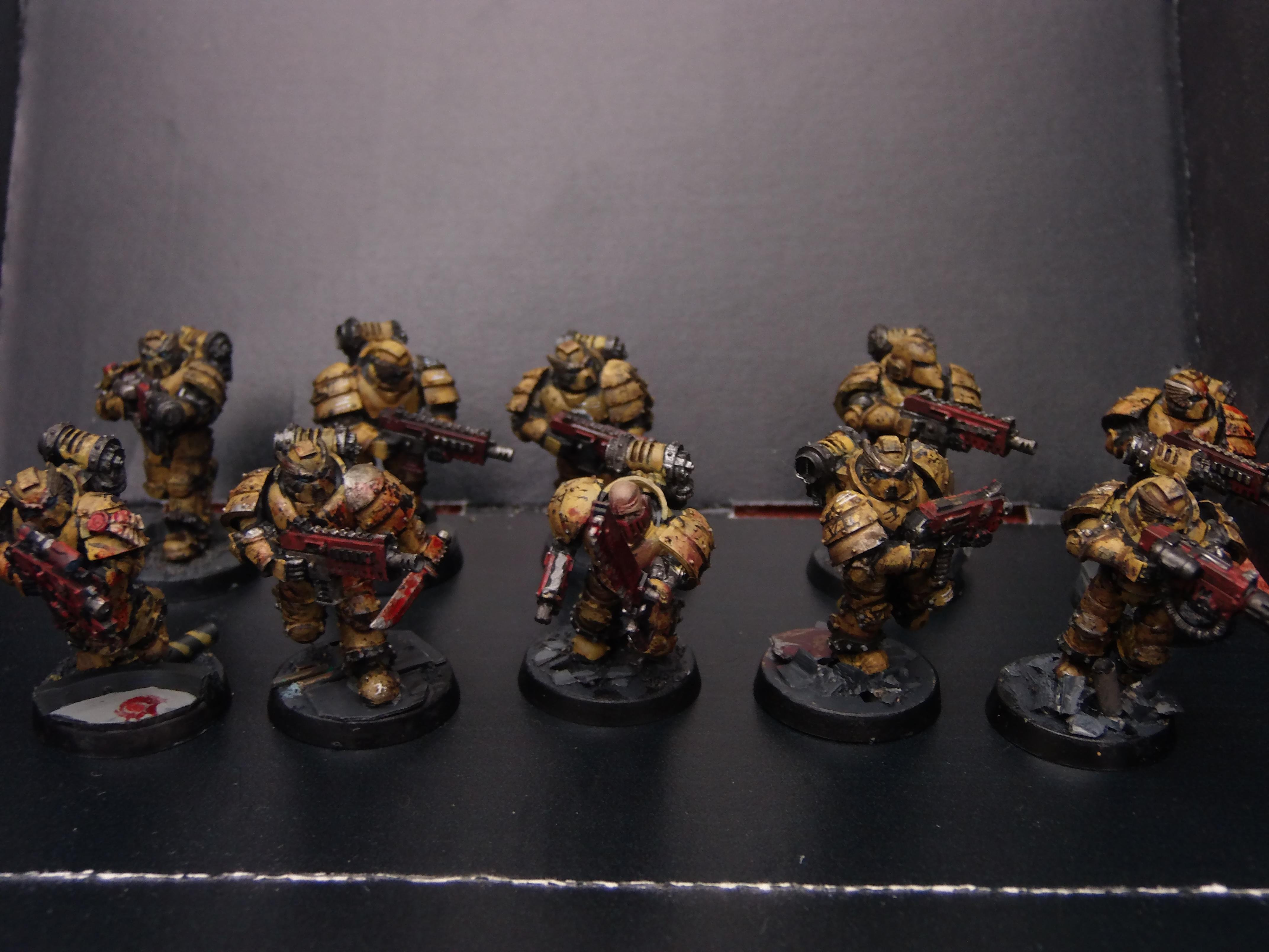 Group Shot: Squad Leonidas