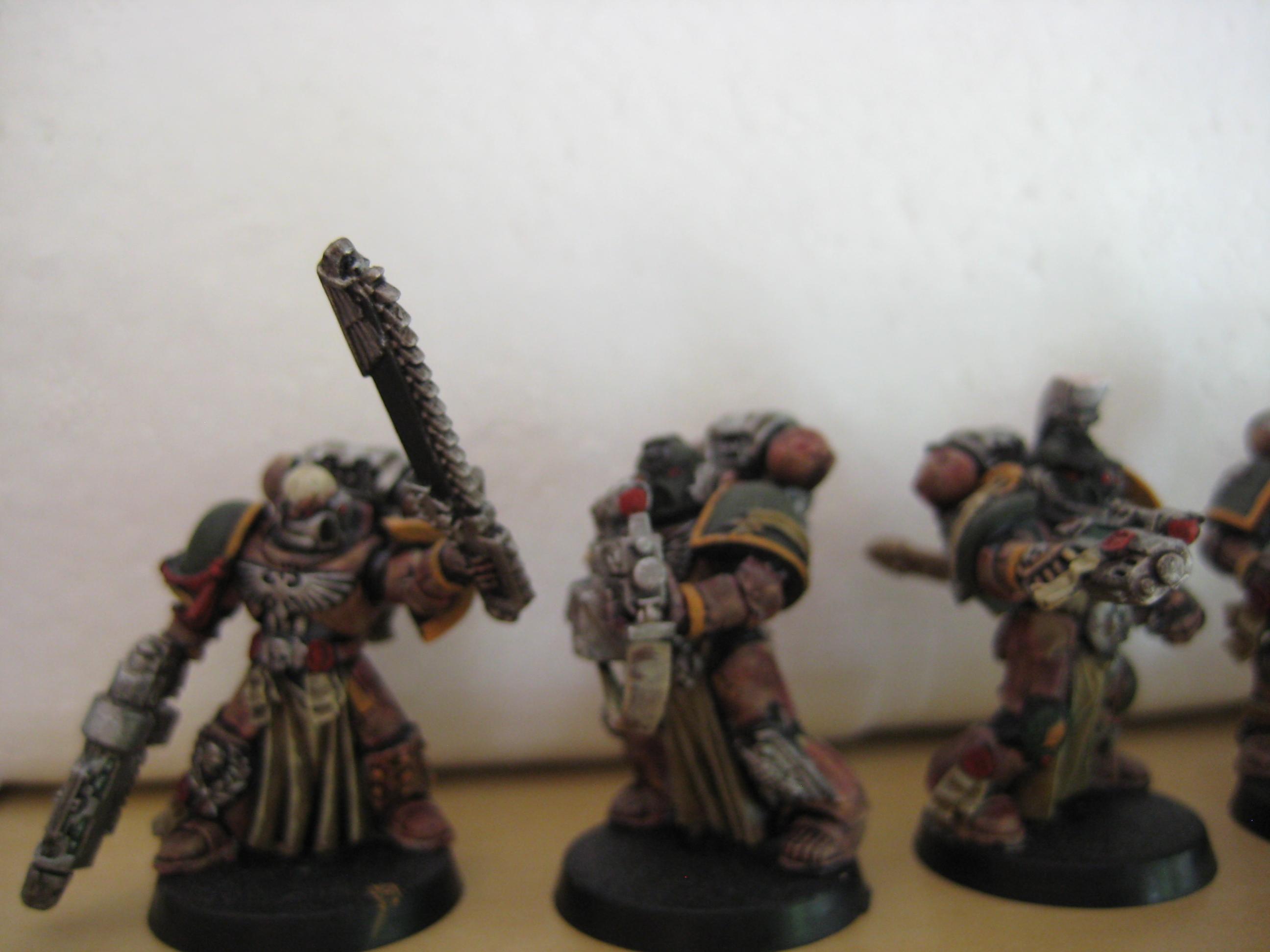 Sternguard Veterans