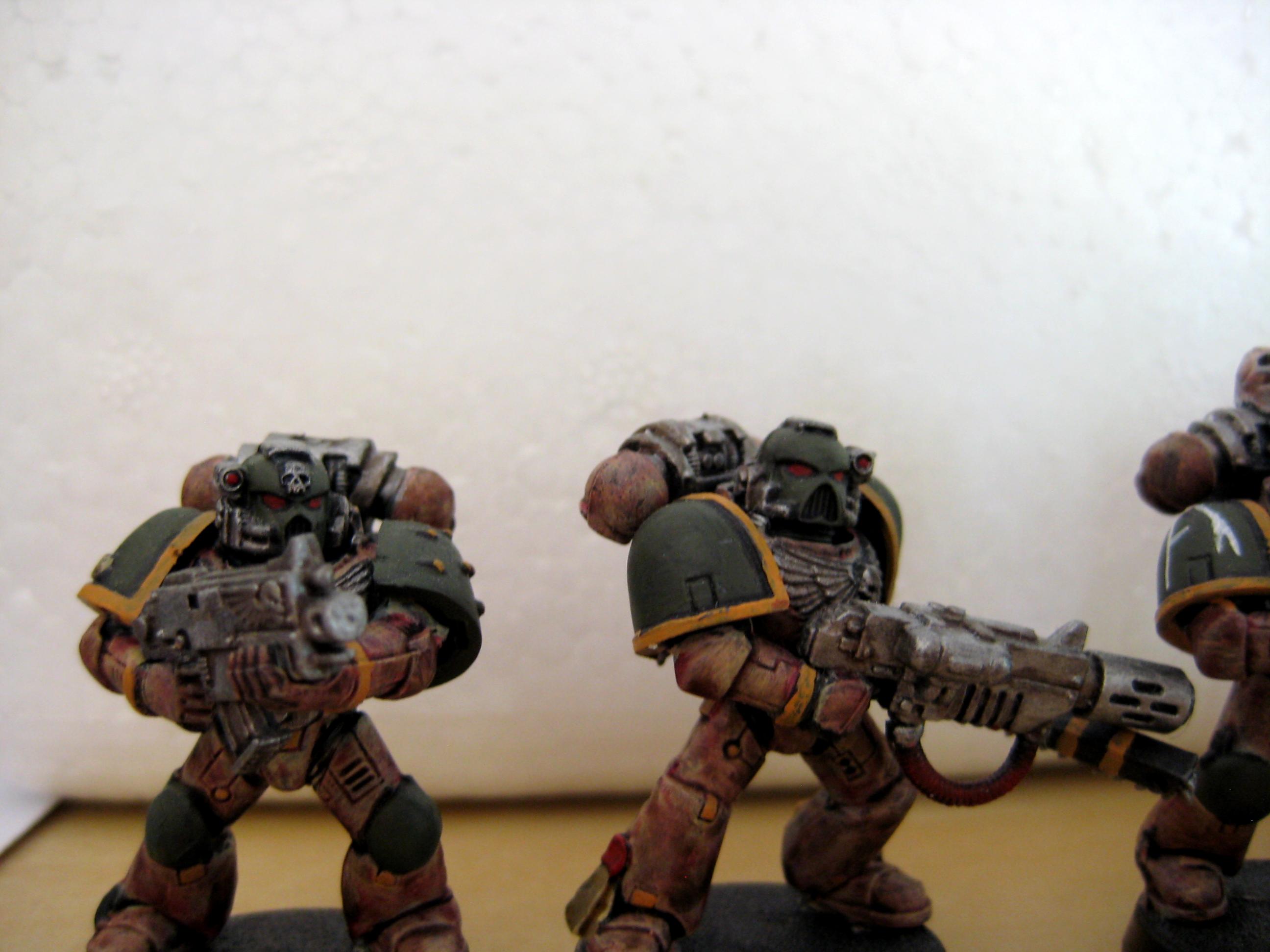 Tactical Marines