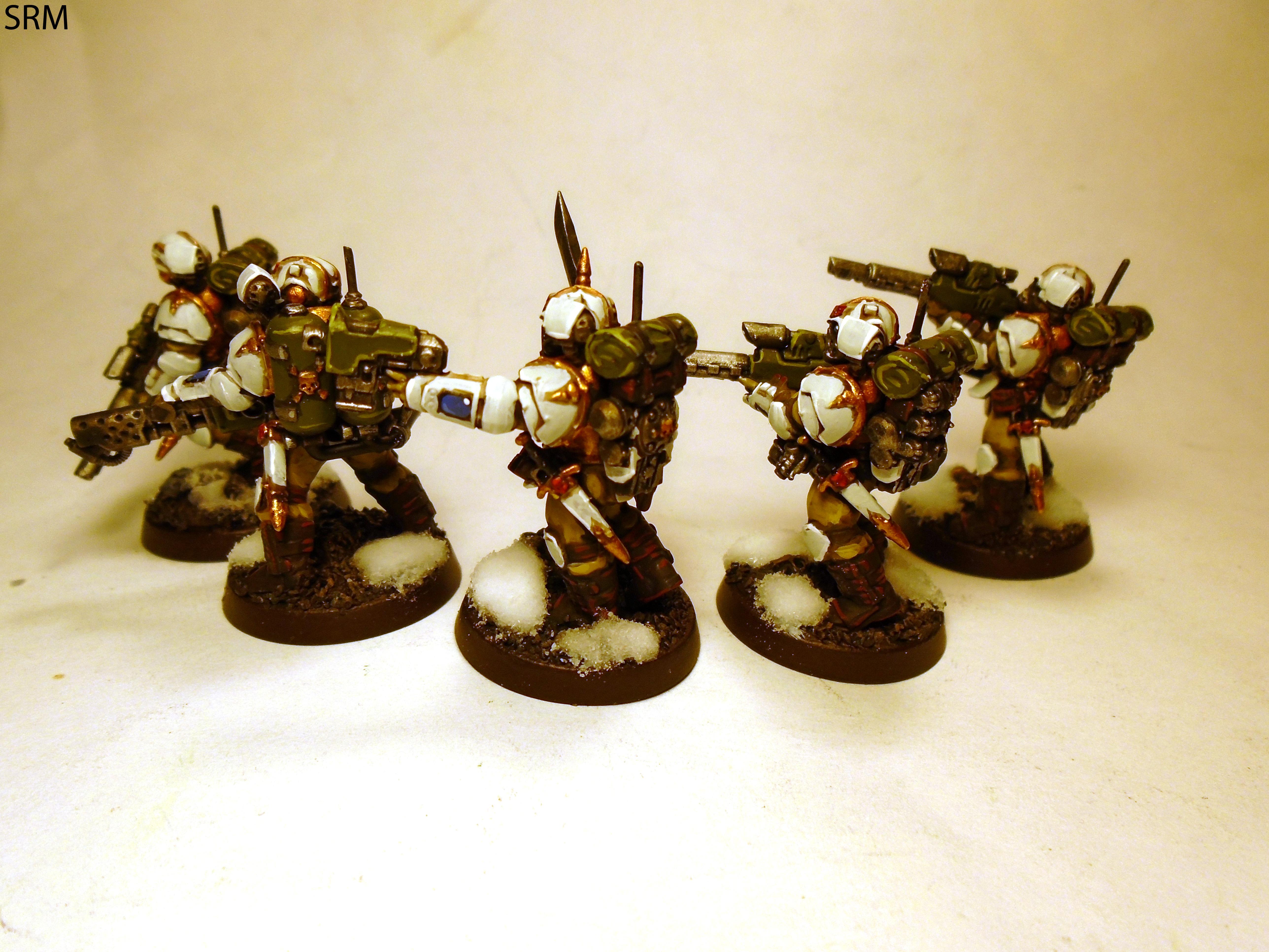 Tempestus Scions, Valhallans