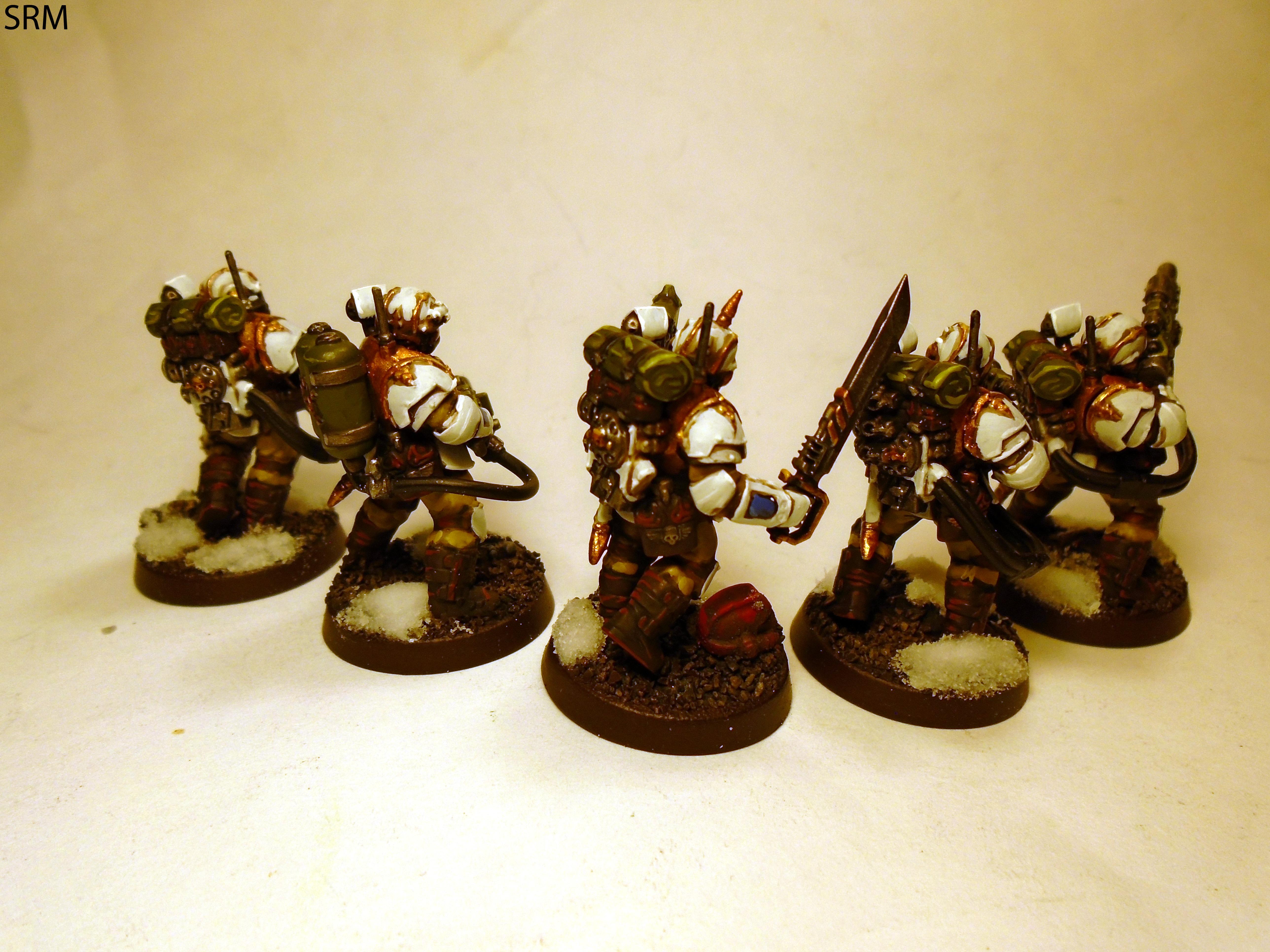 Tempestus Scions, Valhallans
