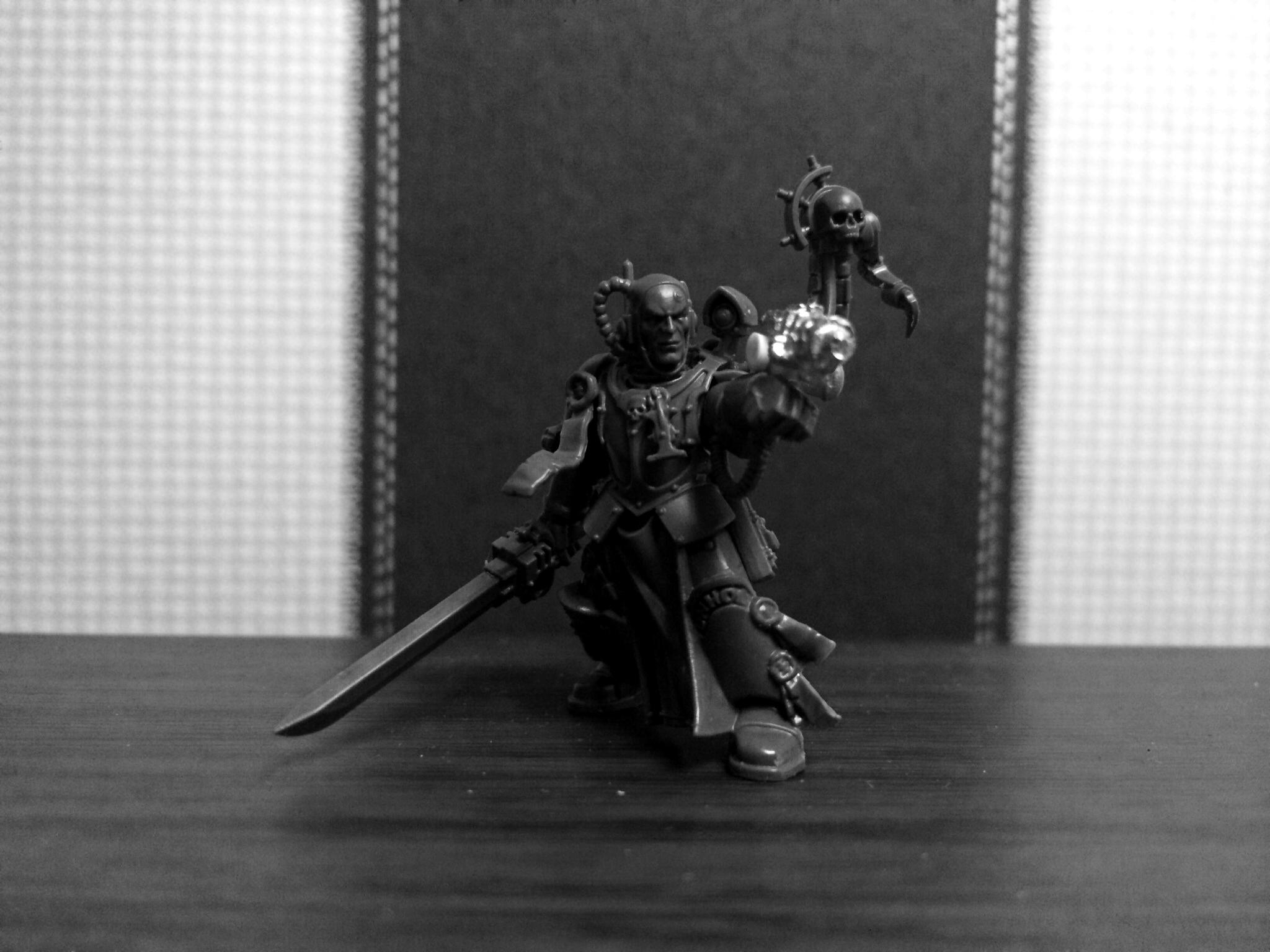 Malleus wip 2