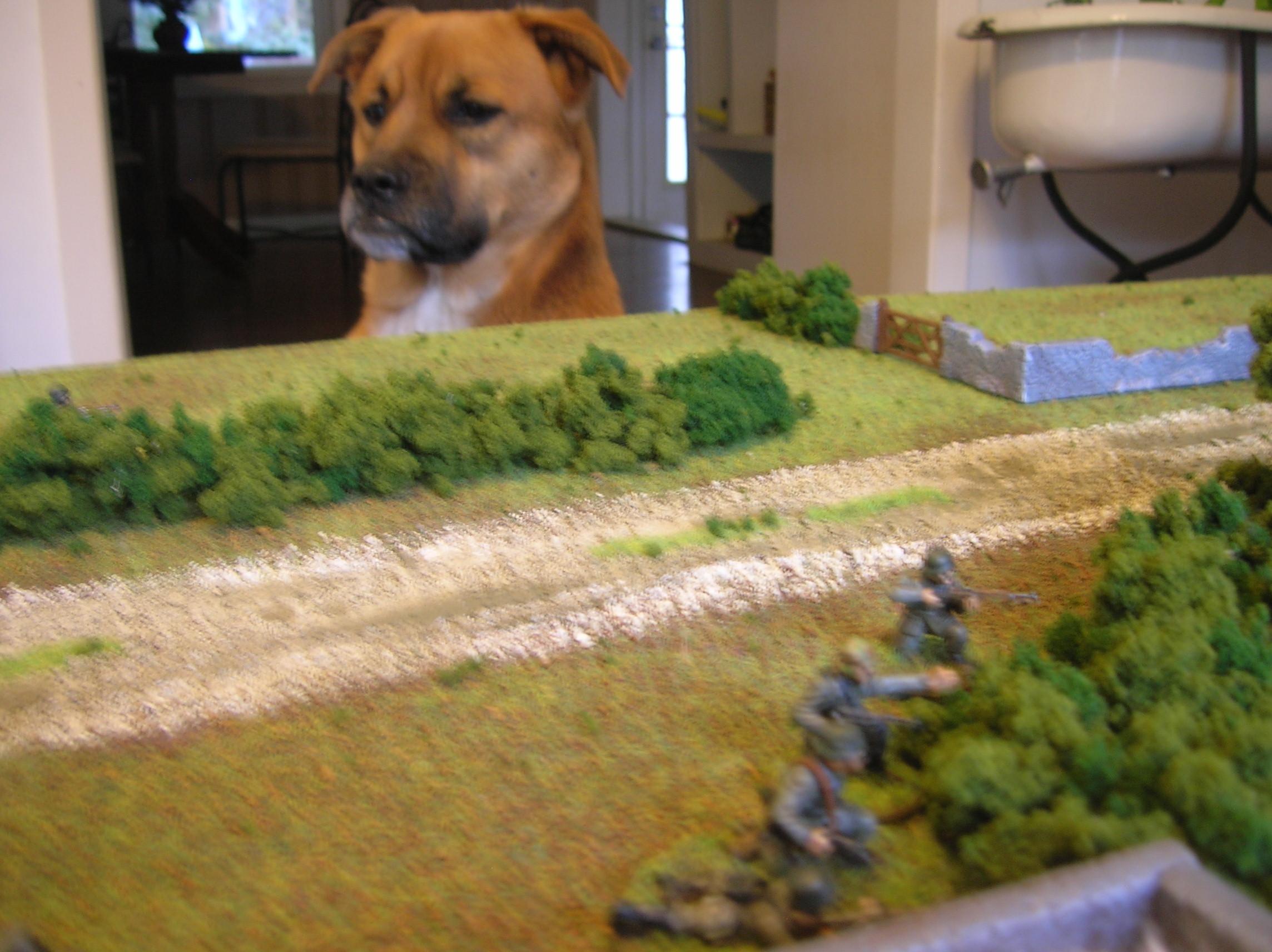 Battlegroup, Battlegroup Overlord, World War 2