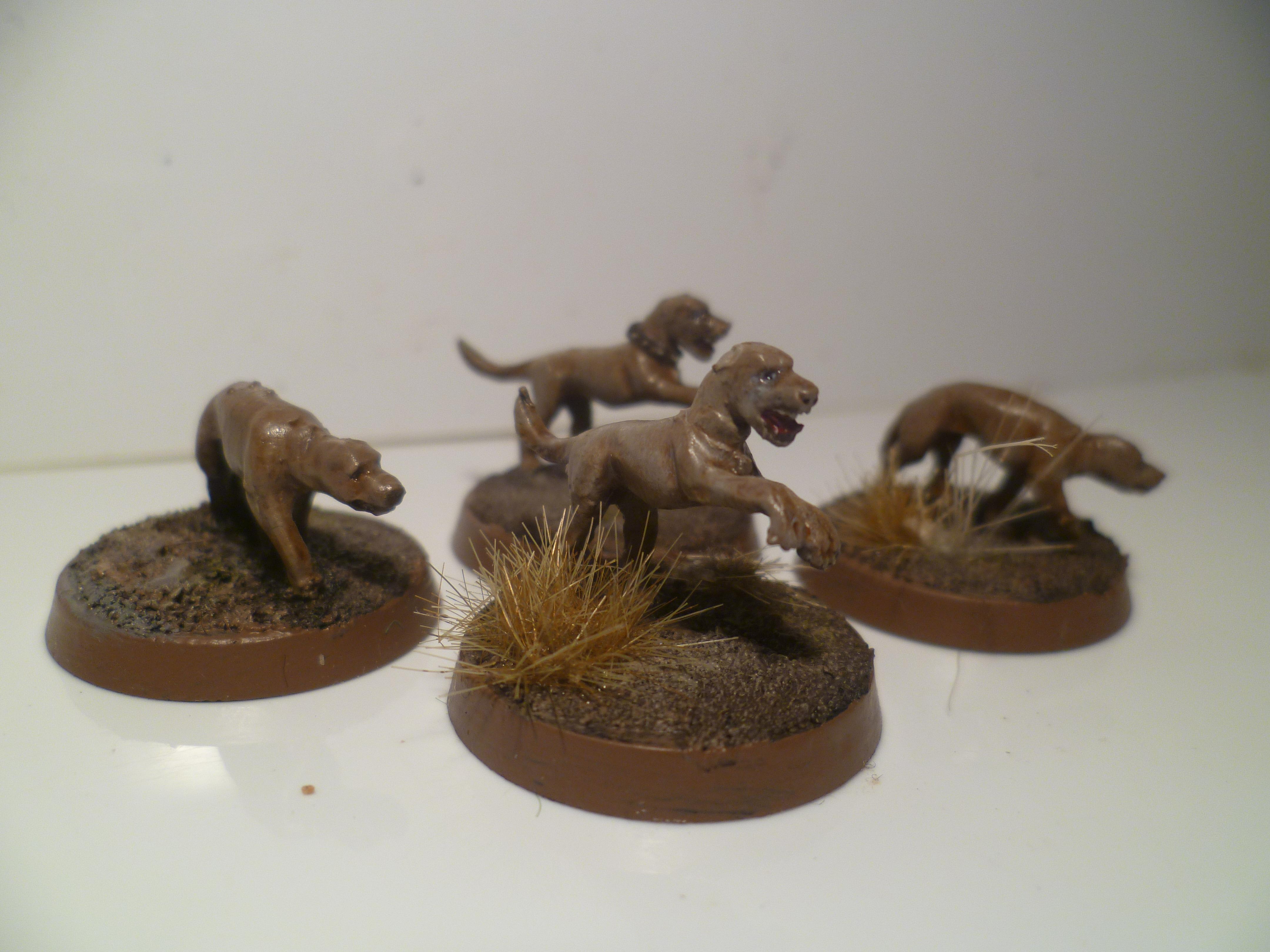 28mm, Apocalyptic, Dogs, Pack, Post