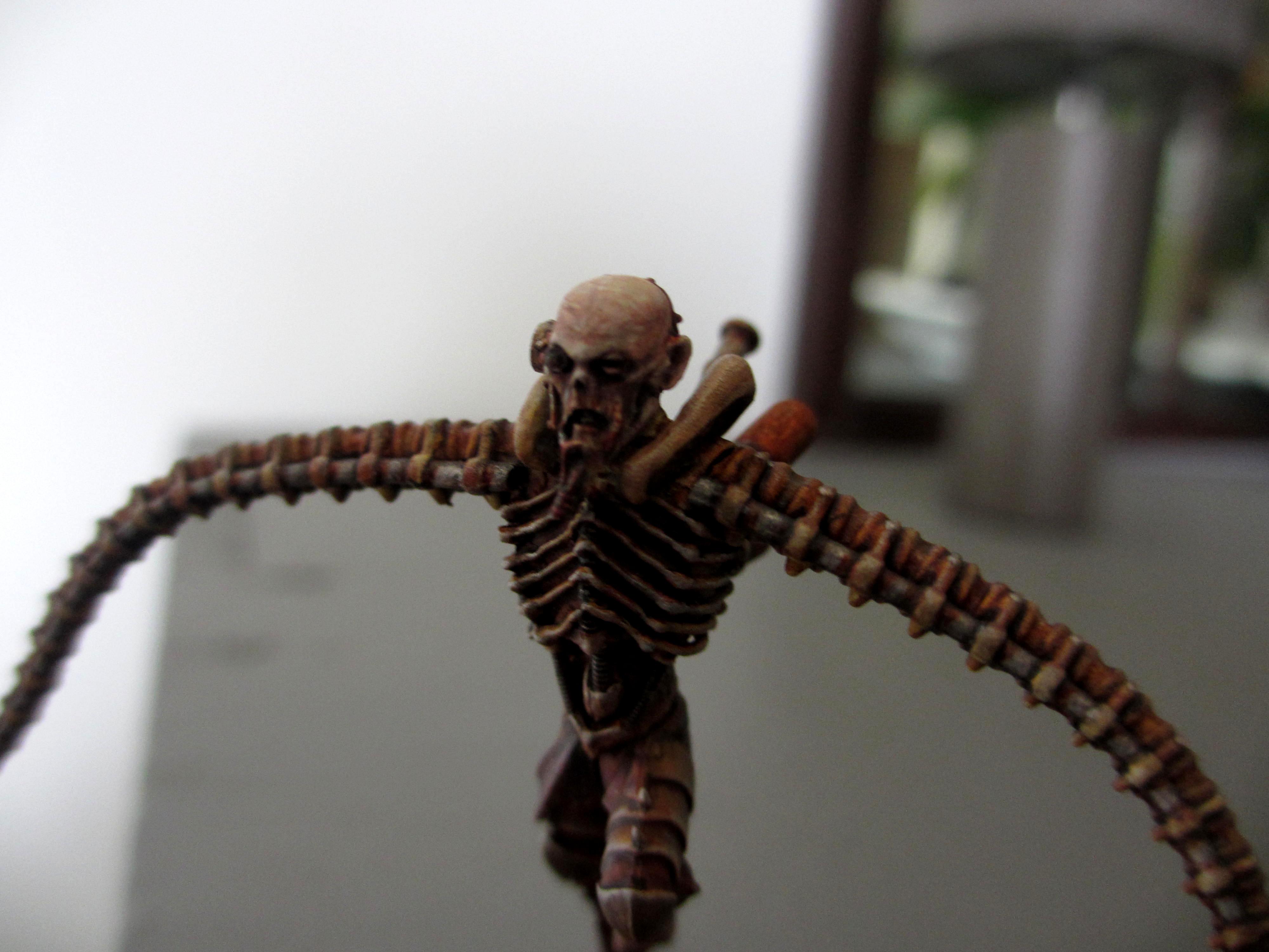 Cyber-flagellant