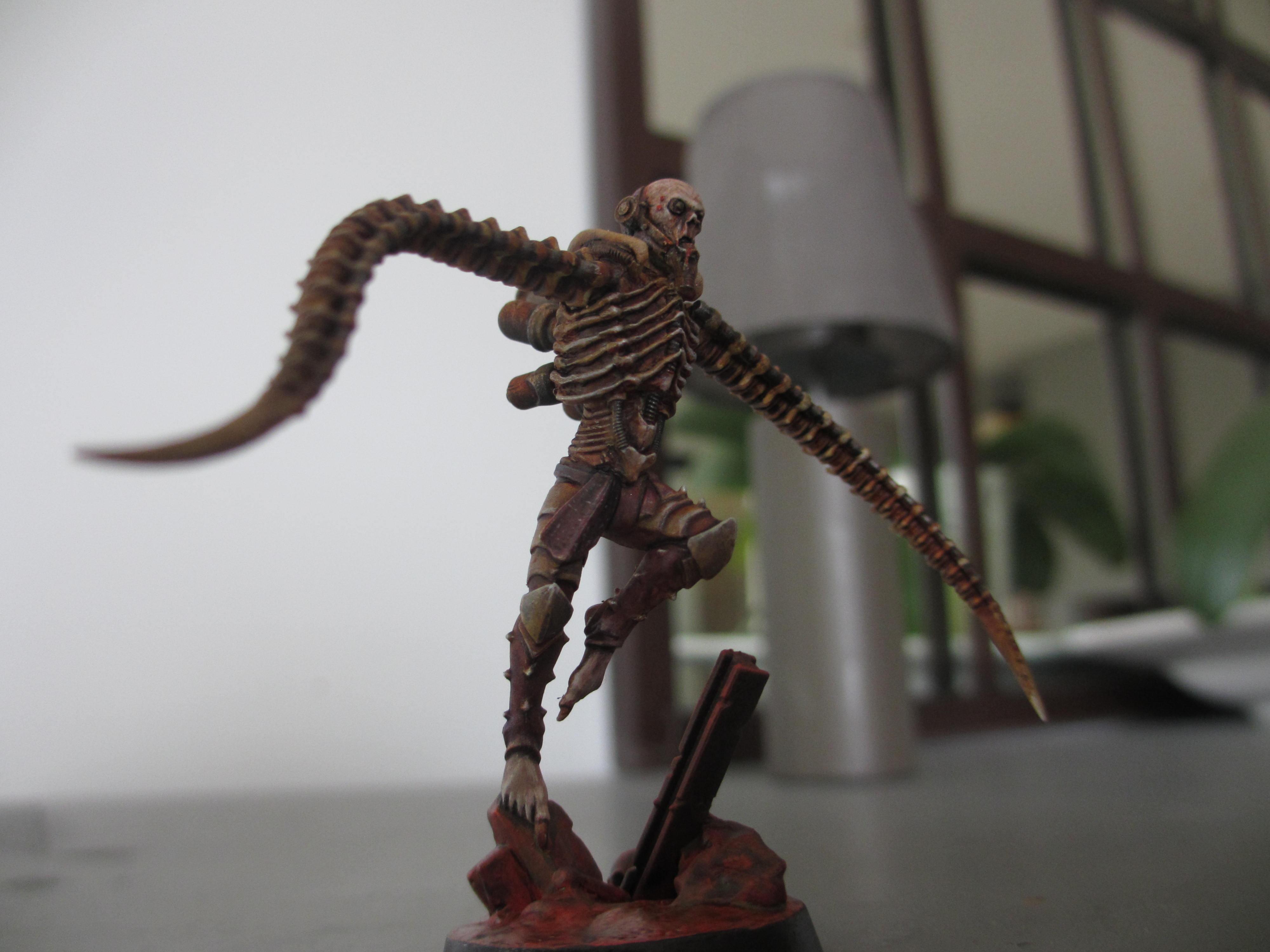 Cyber-flagellant