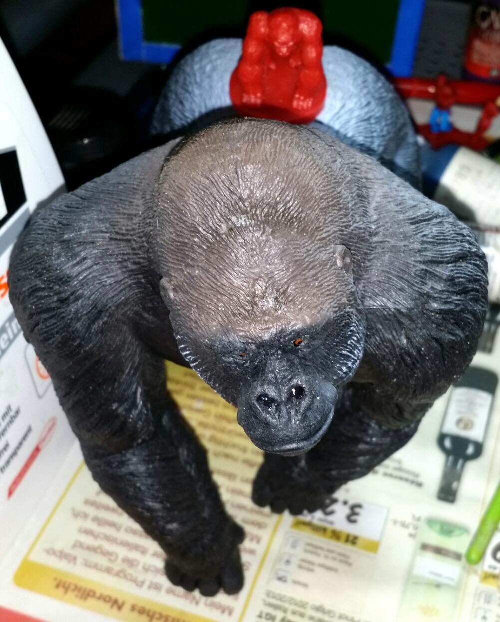 Tunga Kong