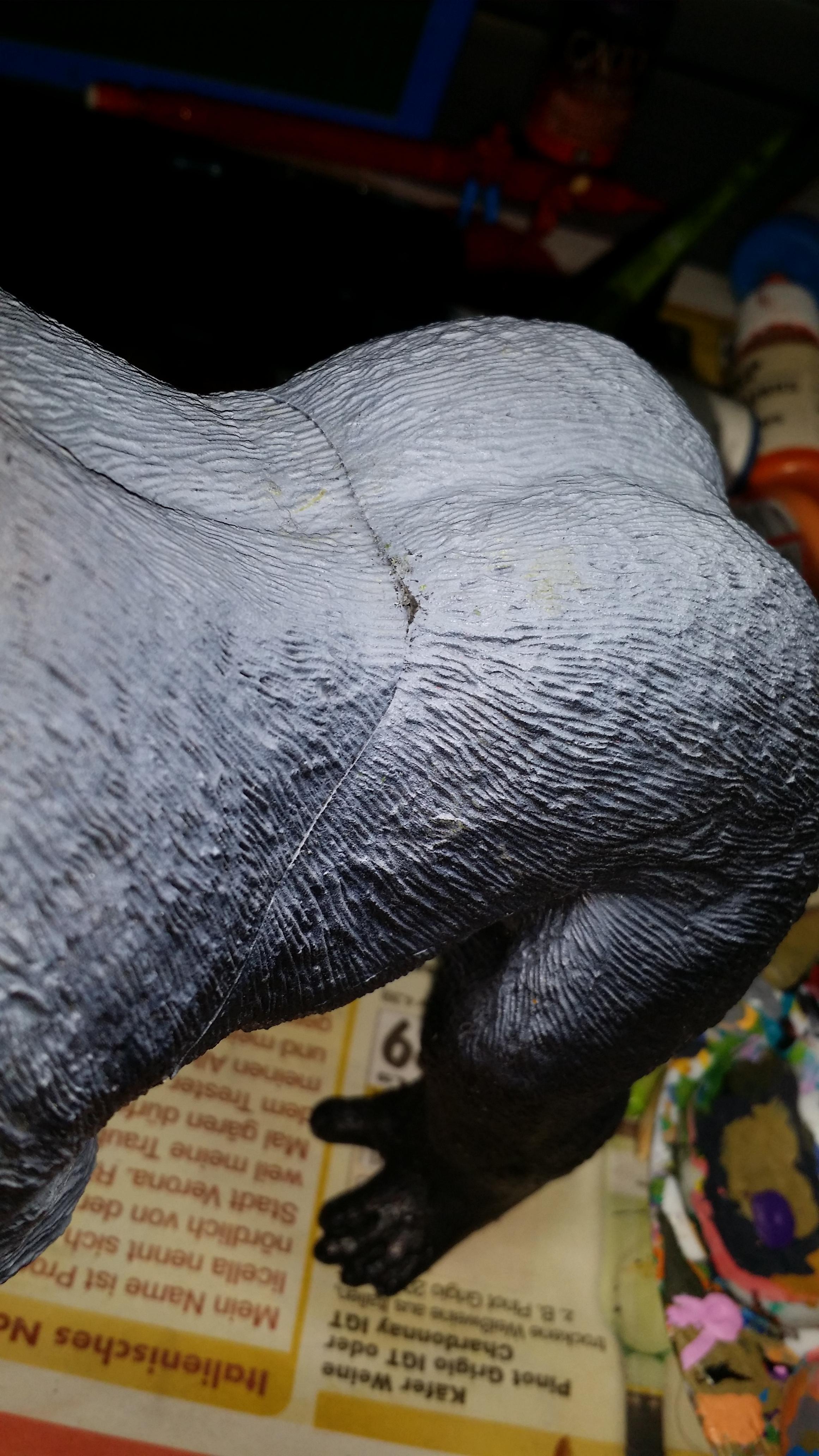 Tunga Kongs back