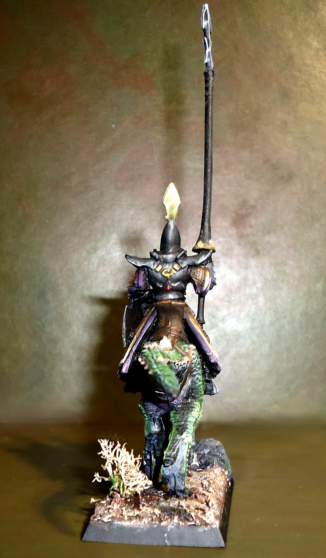 Cold One, Dark Elves, Knights