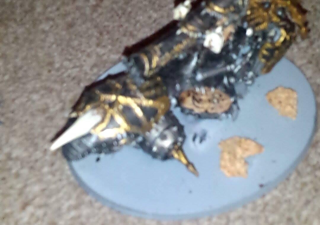 Top down on Skull Cannon
