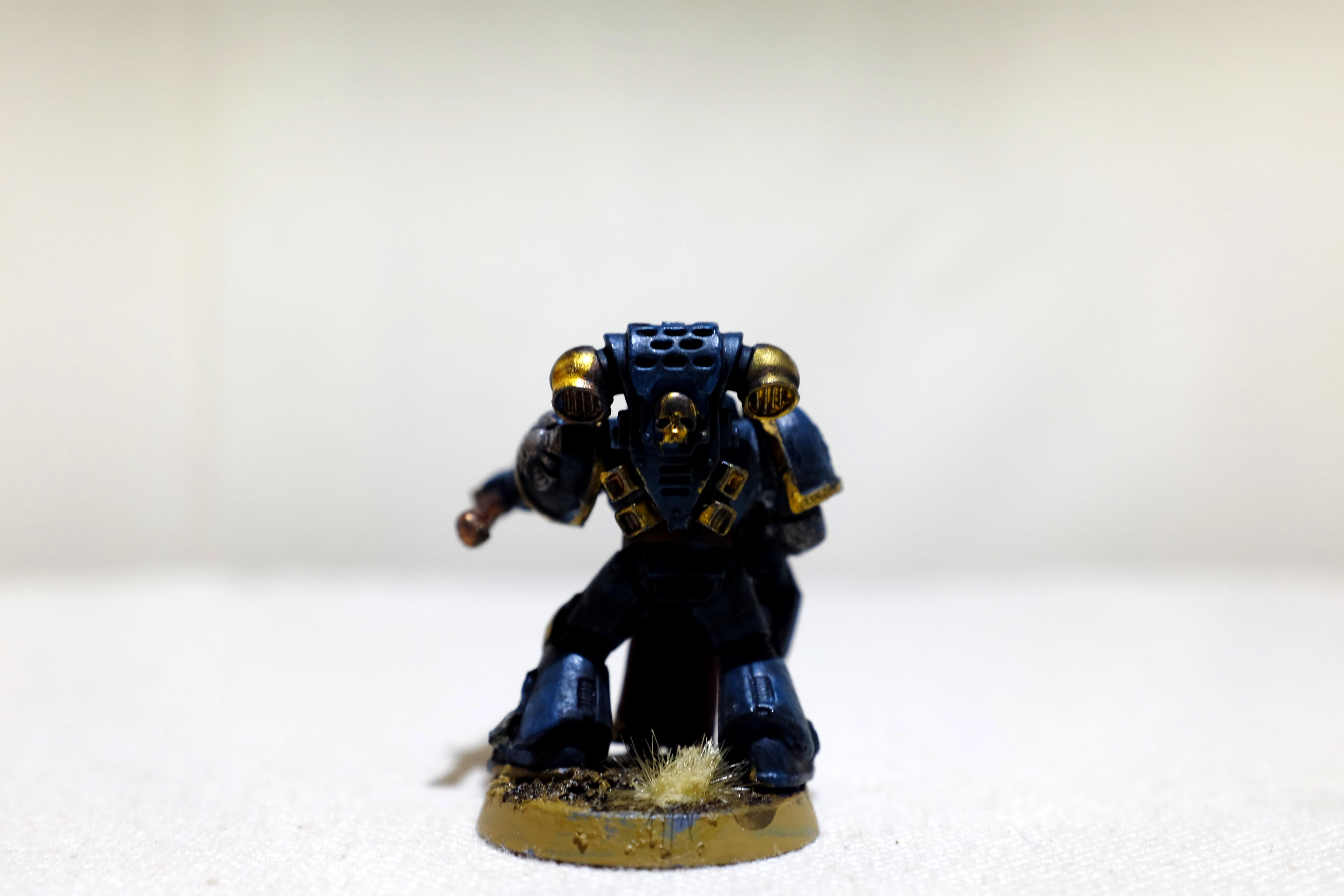 Company Champion, Space Marines