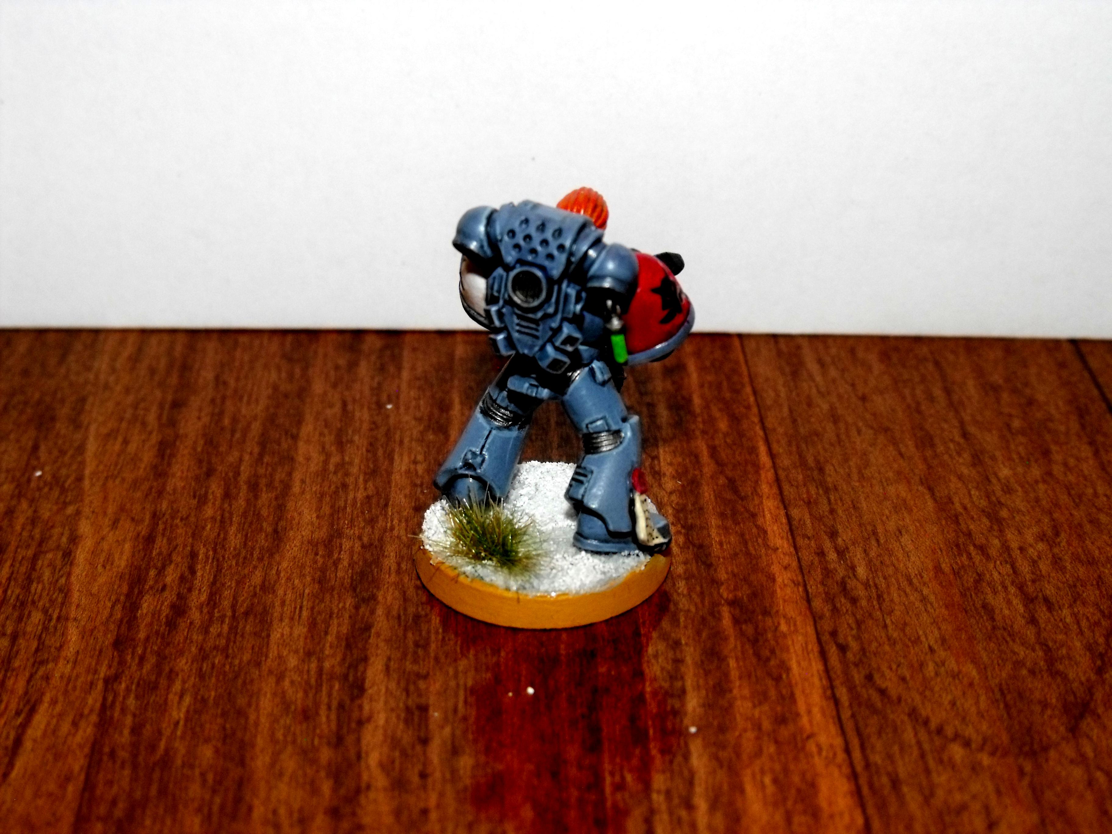Freya, Grey Hunters, Space, Space Marines, Space Wolves, Wolves
