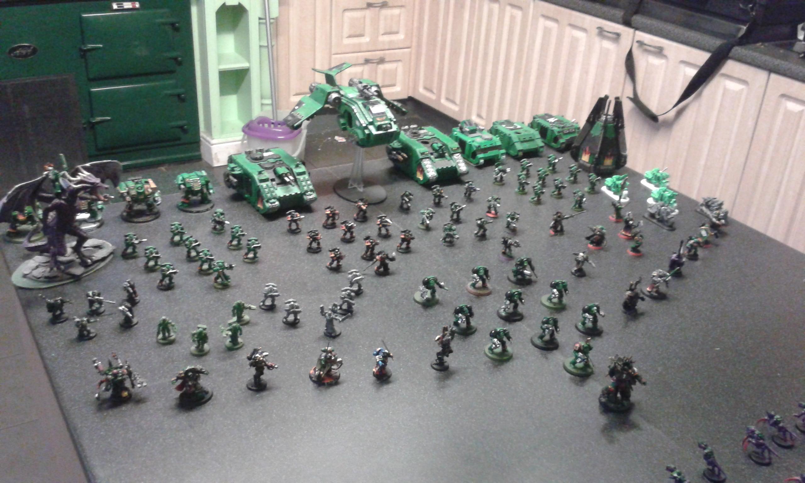 salamanders