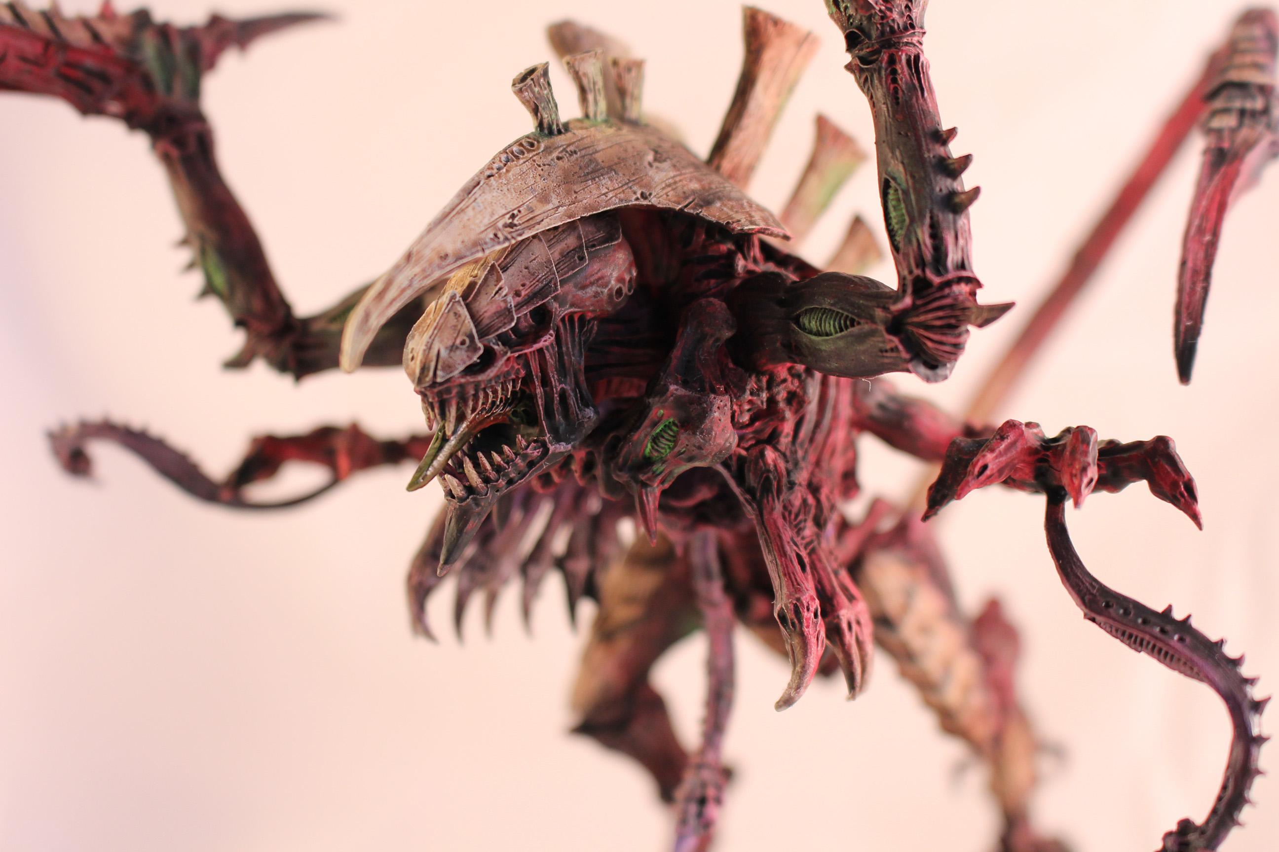 Dimachaeron, Tyranids