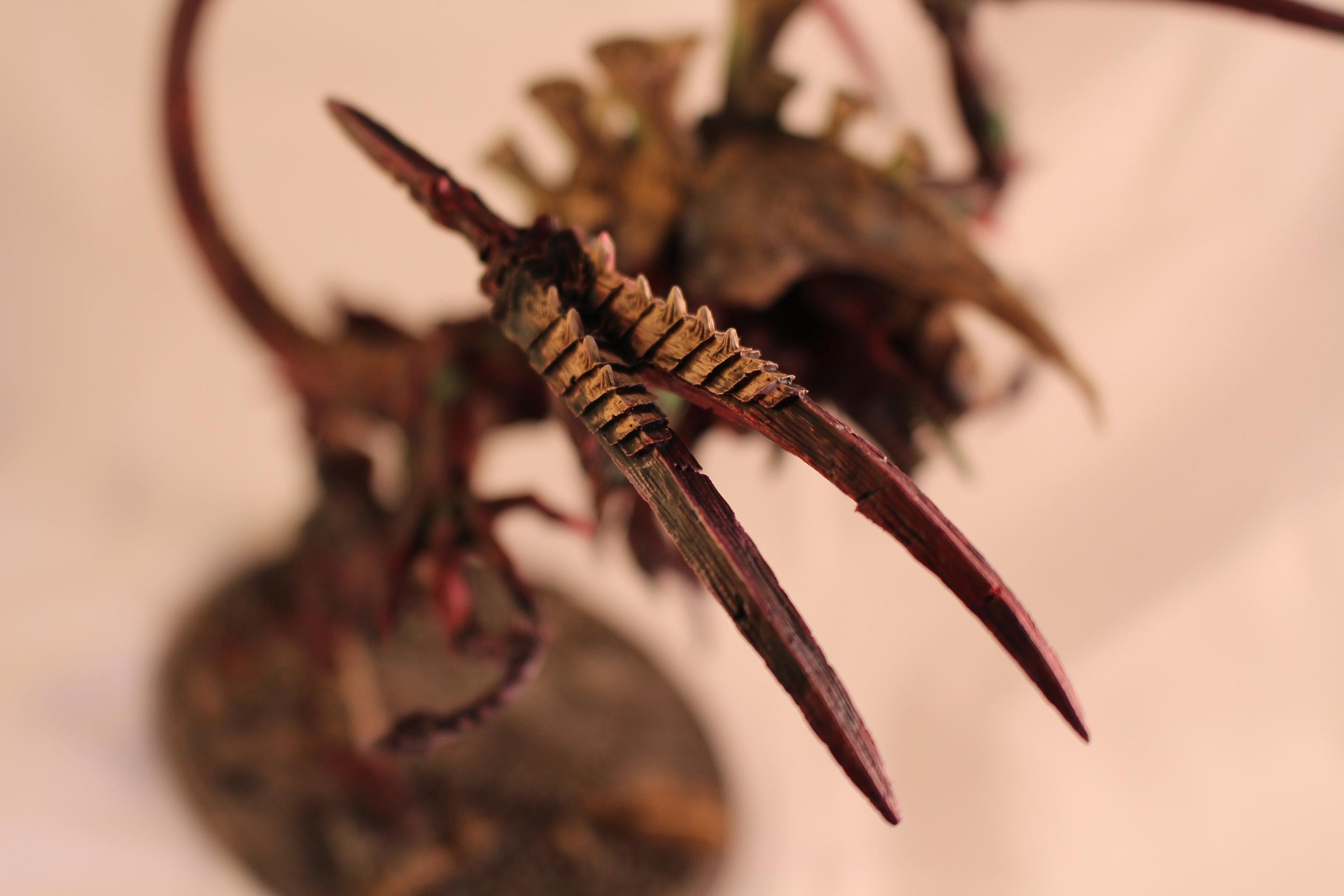 Dimachaeron, Tyranids