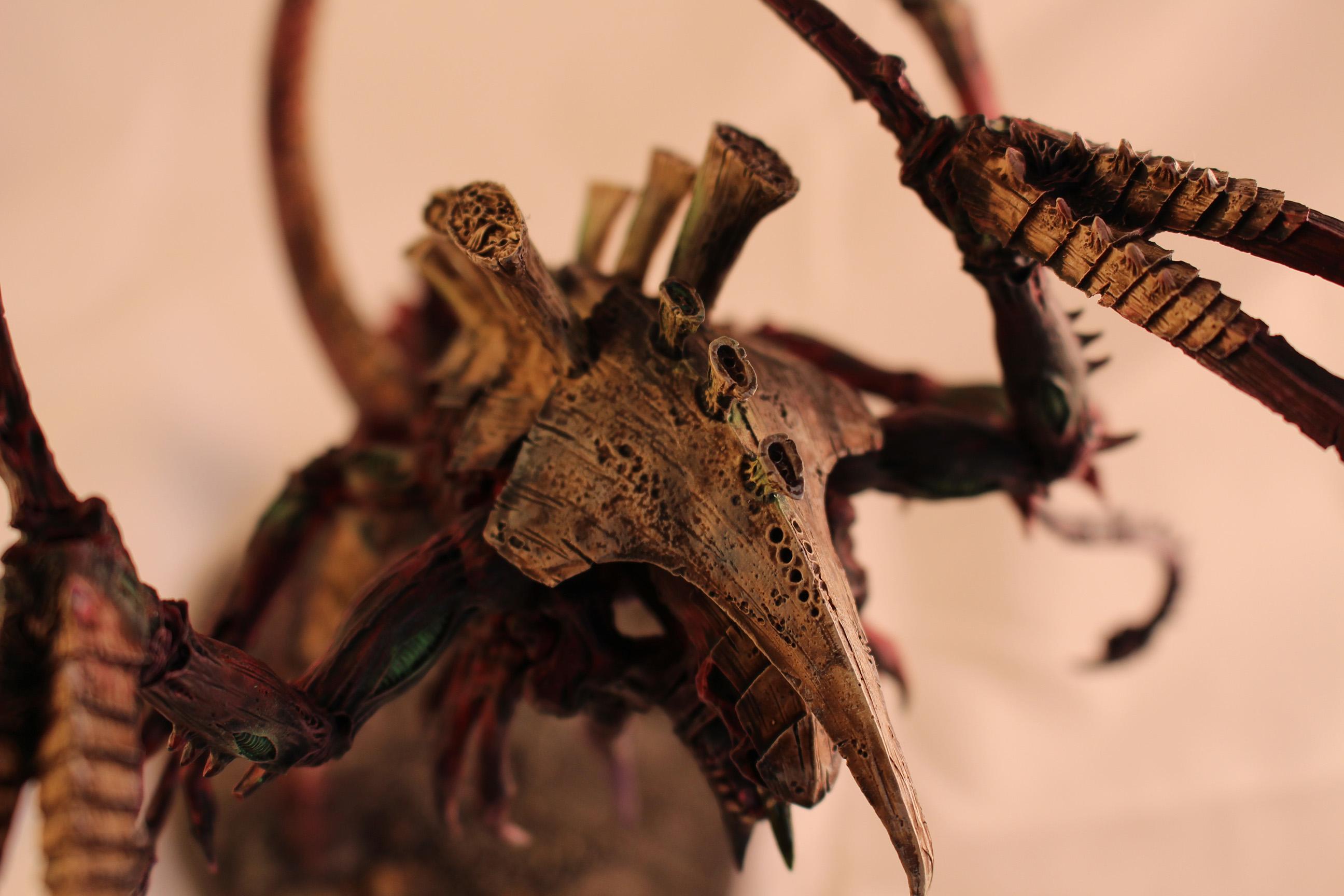 Dimachaeron, Tyranids