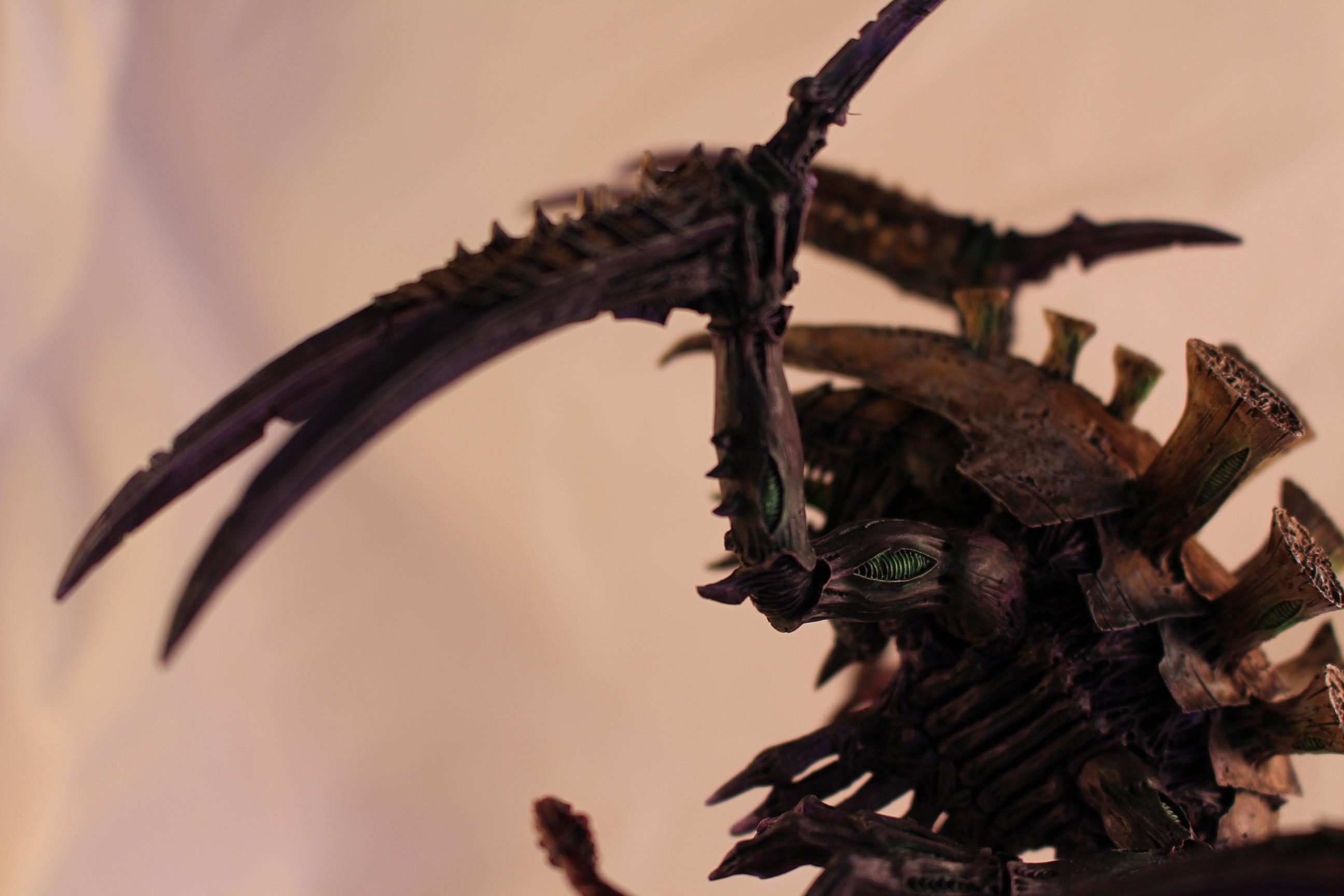 Dimachaeron, Tyranids