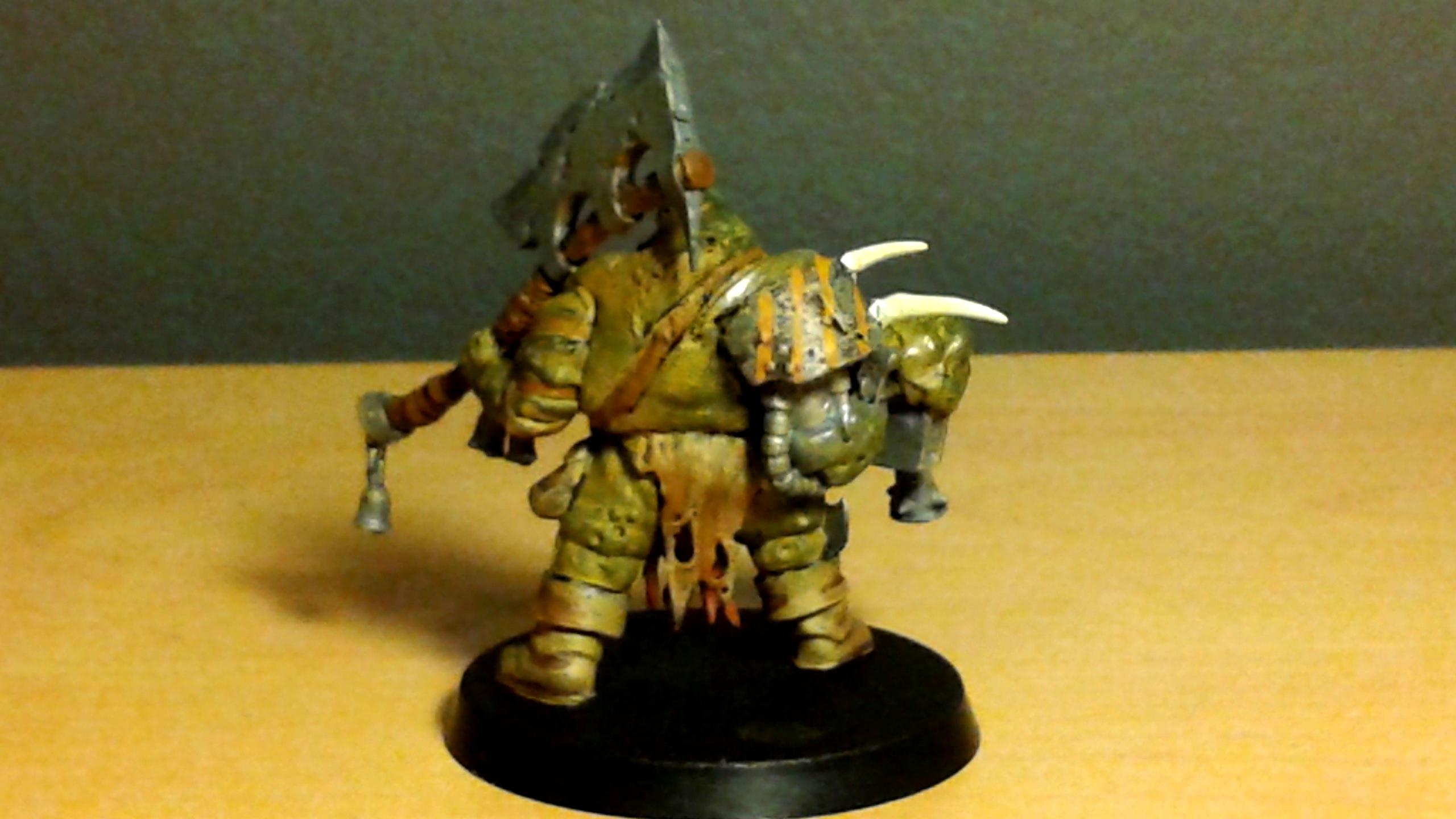 Custom Typhus Back