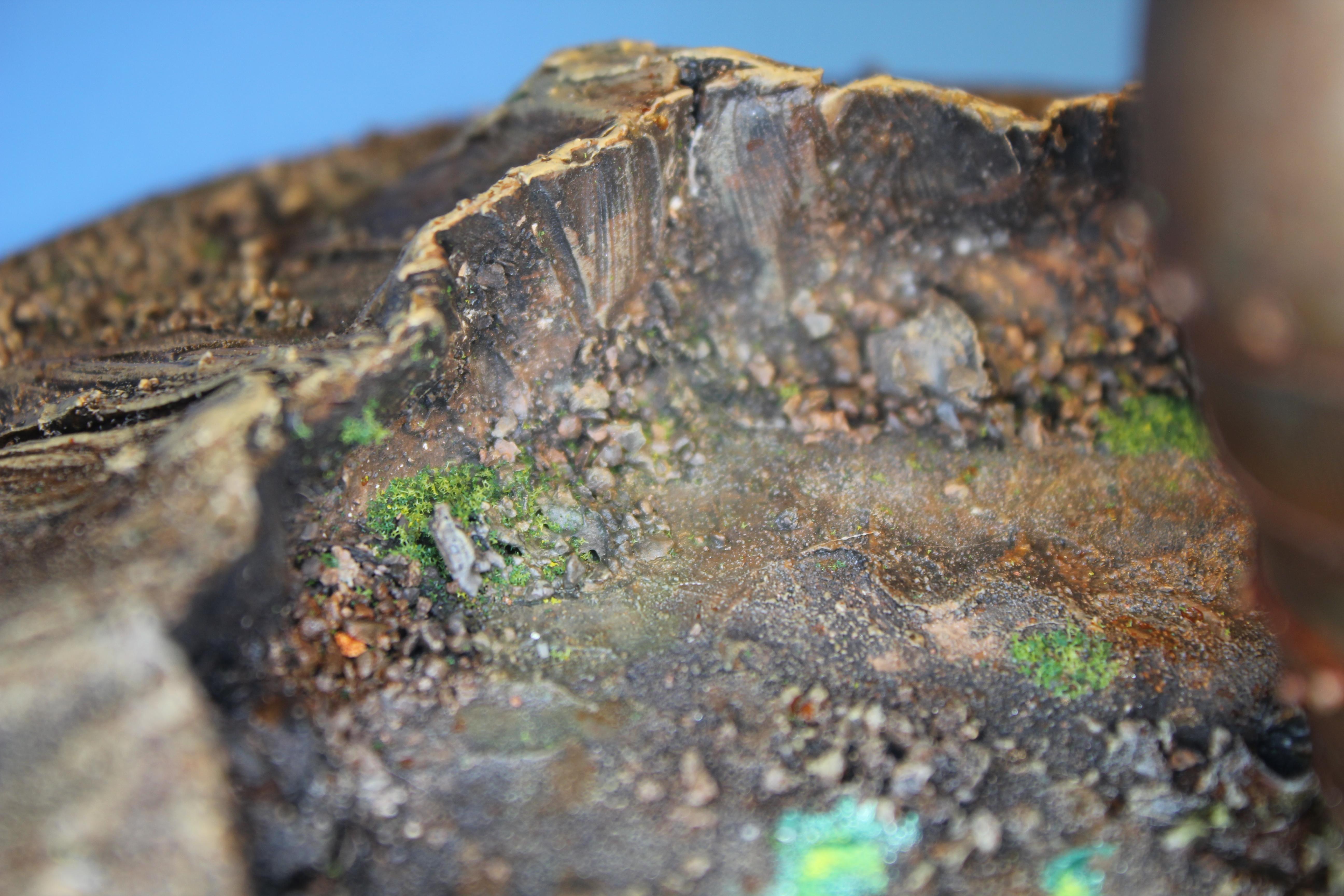 Bomb, Crater, Terrain
