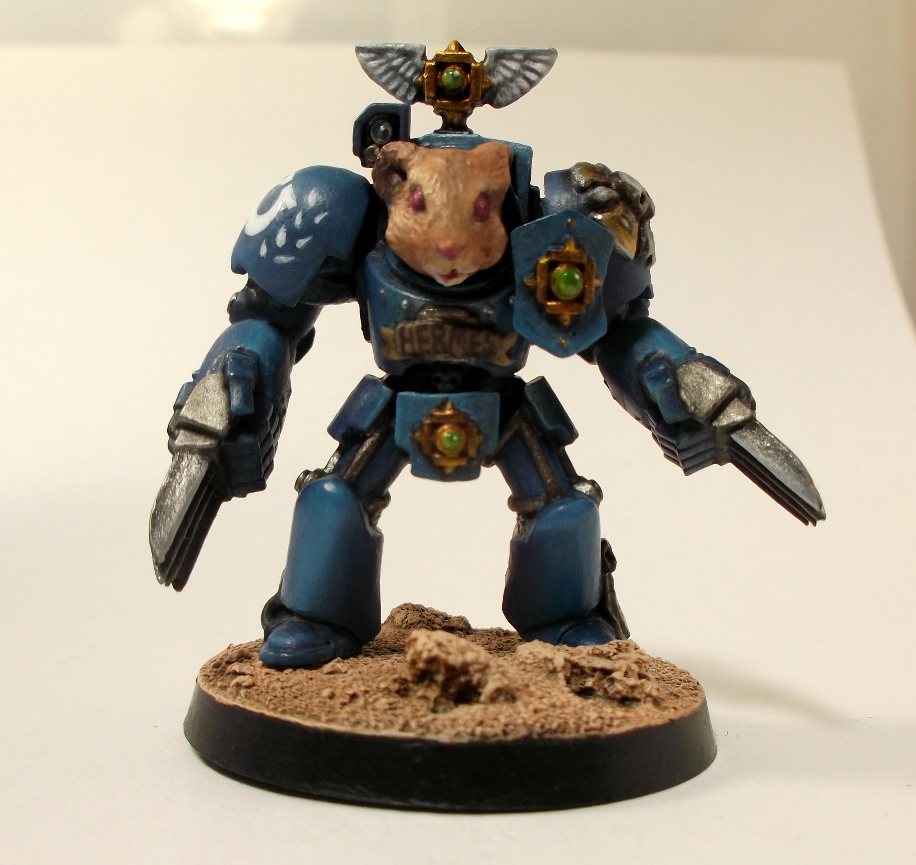 Competition, Hamster, Terminator Armor, Ultramarines