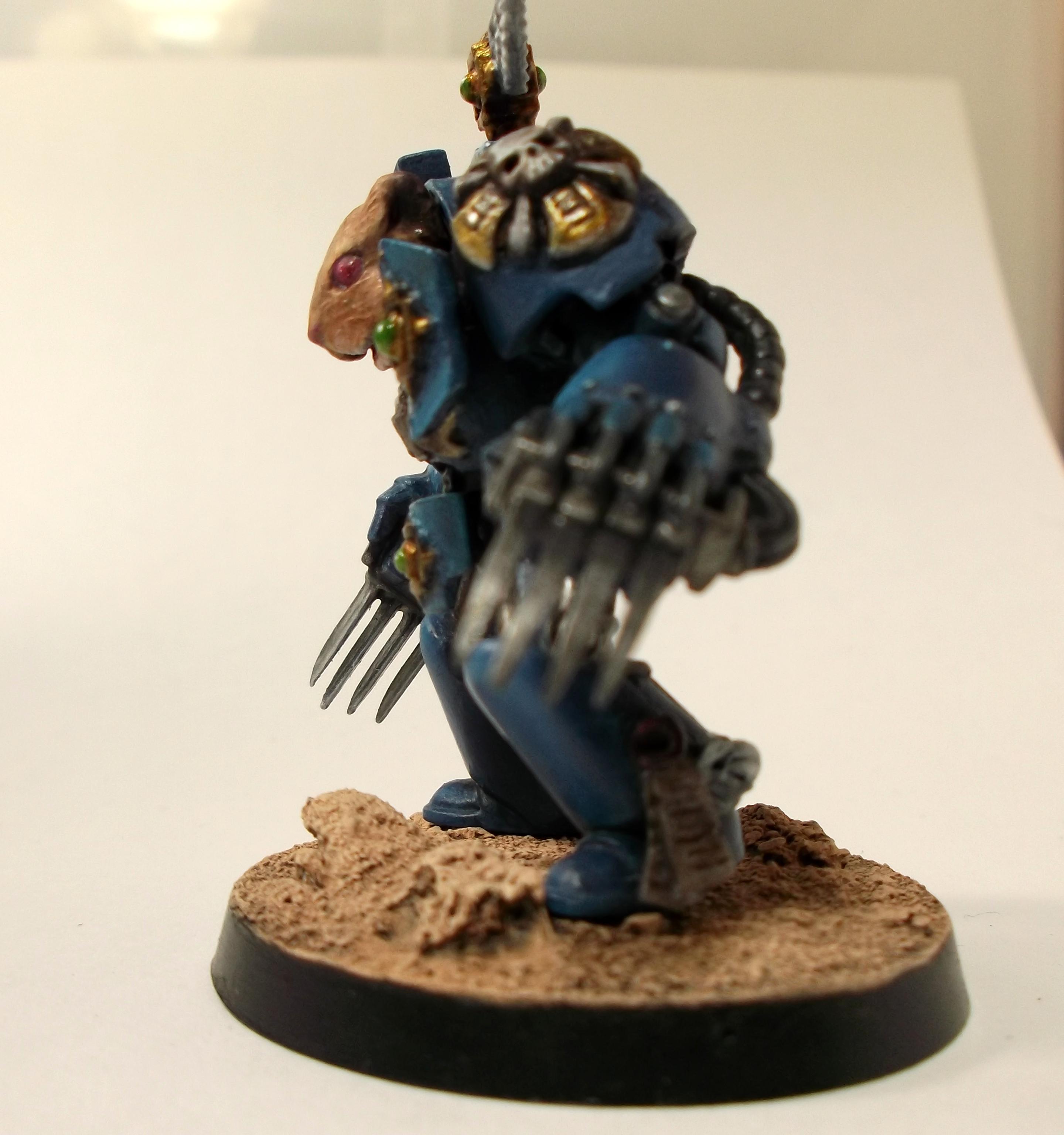 Competition, Hamster, Terminator Armor, Ultramarines