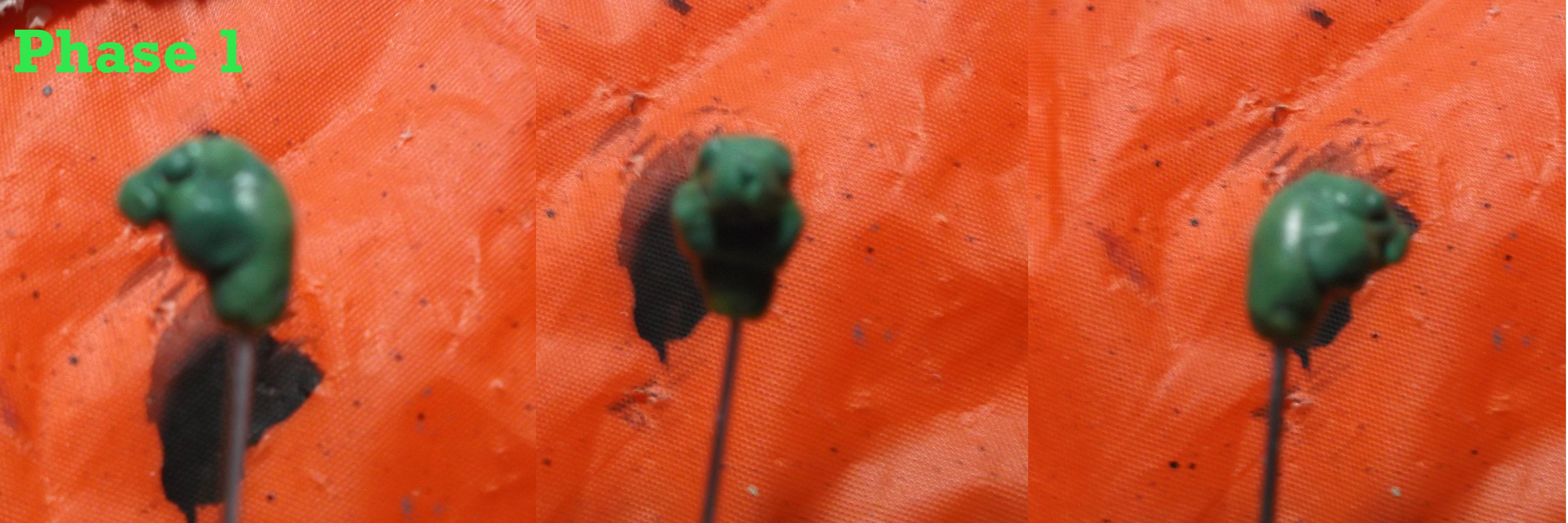 Hamster, Head, Sculpting, Work In Progress