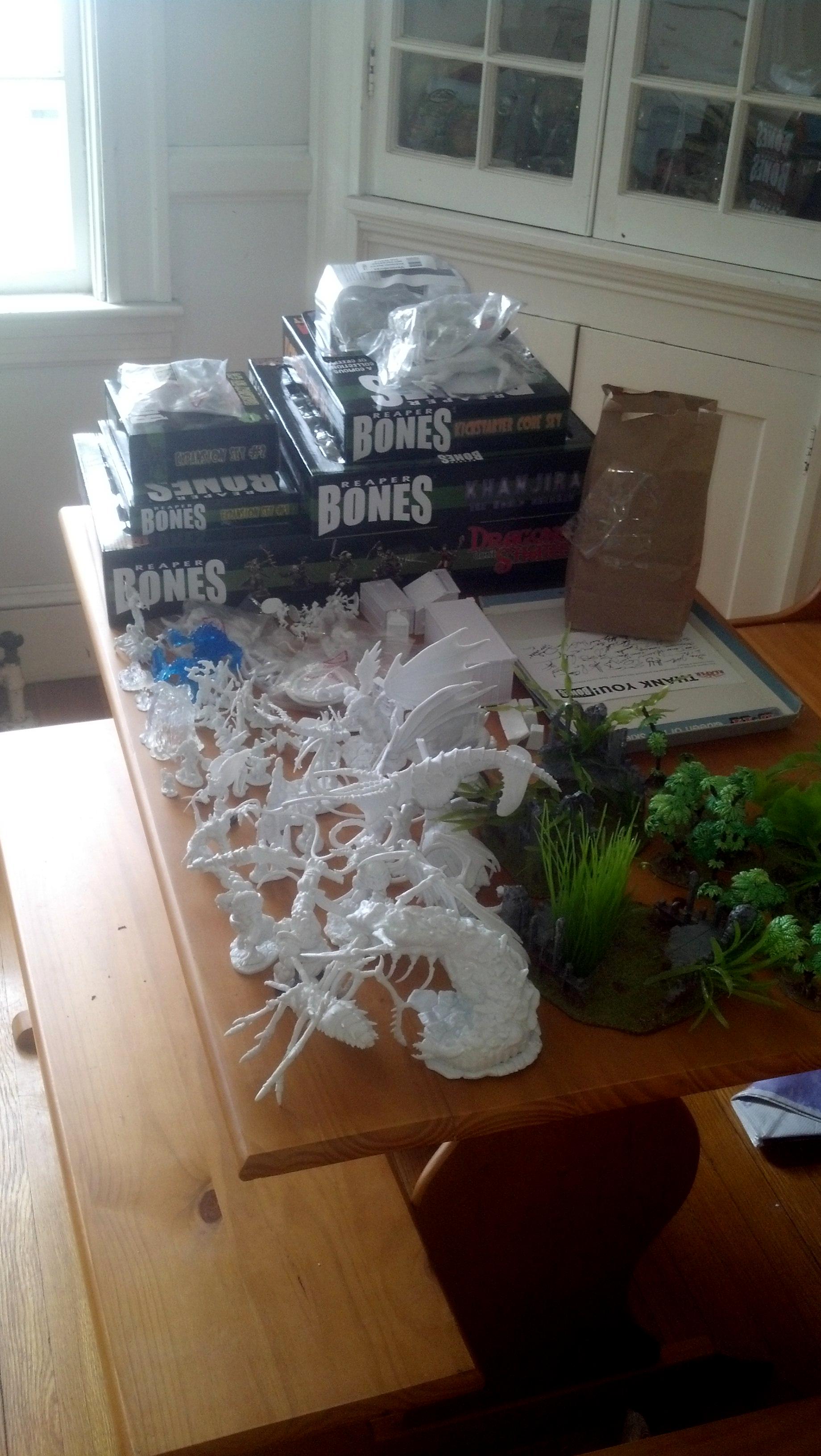 Bones 2
