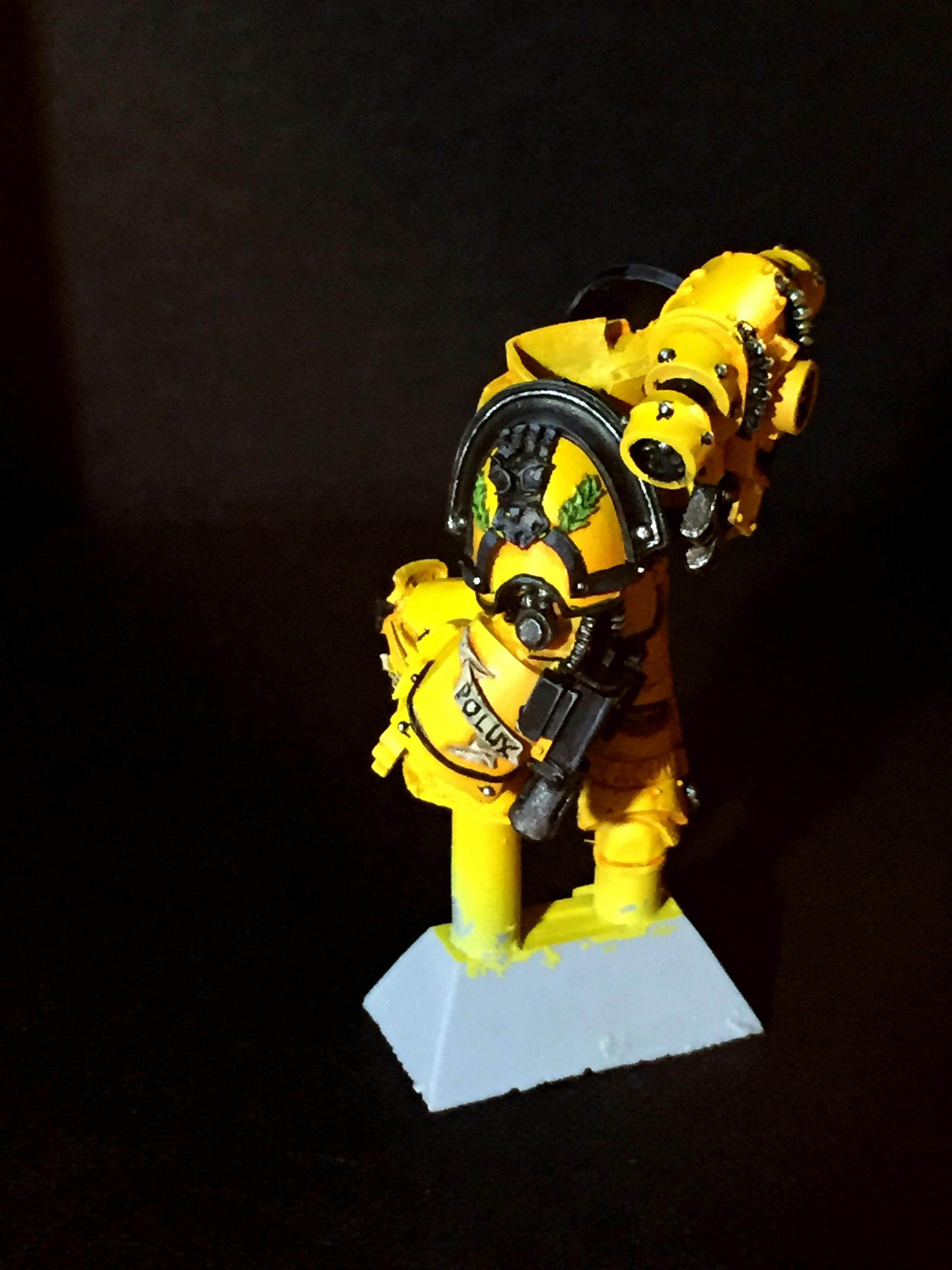 Polux WIP 4