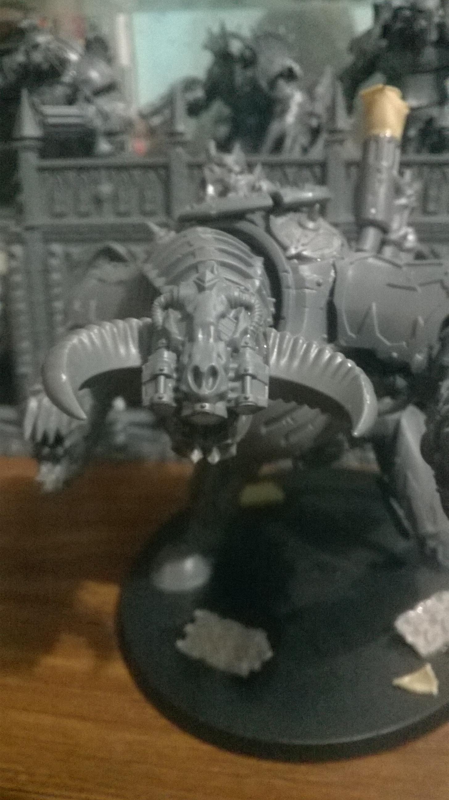 Closeup of head :D