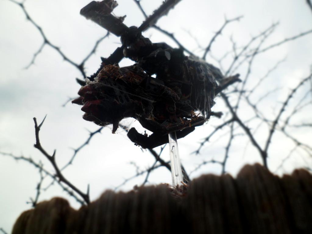 Orks, Snakebites Deffkoppta