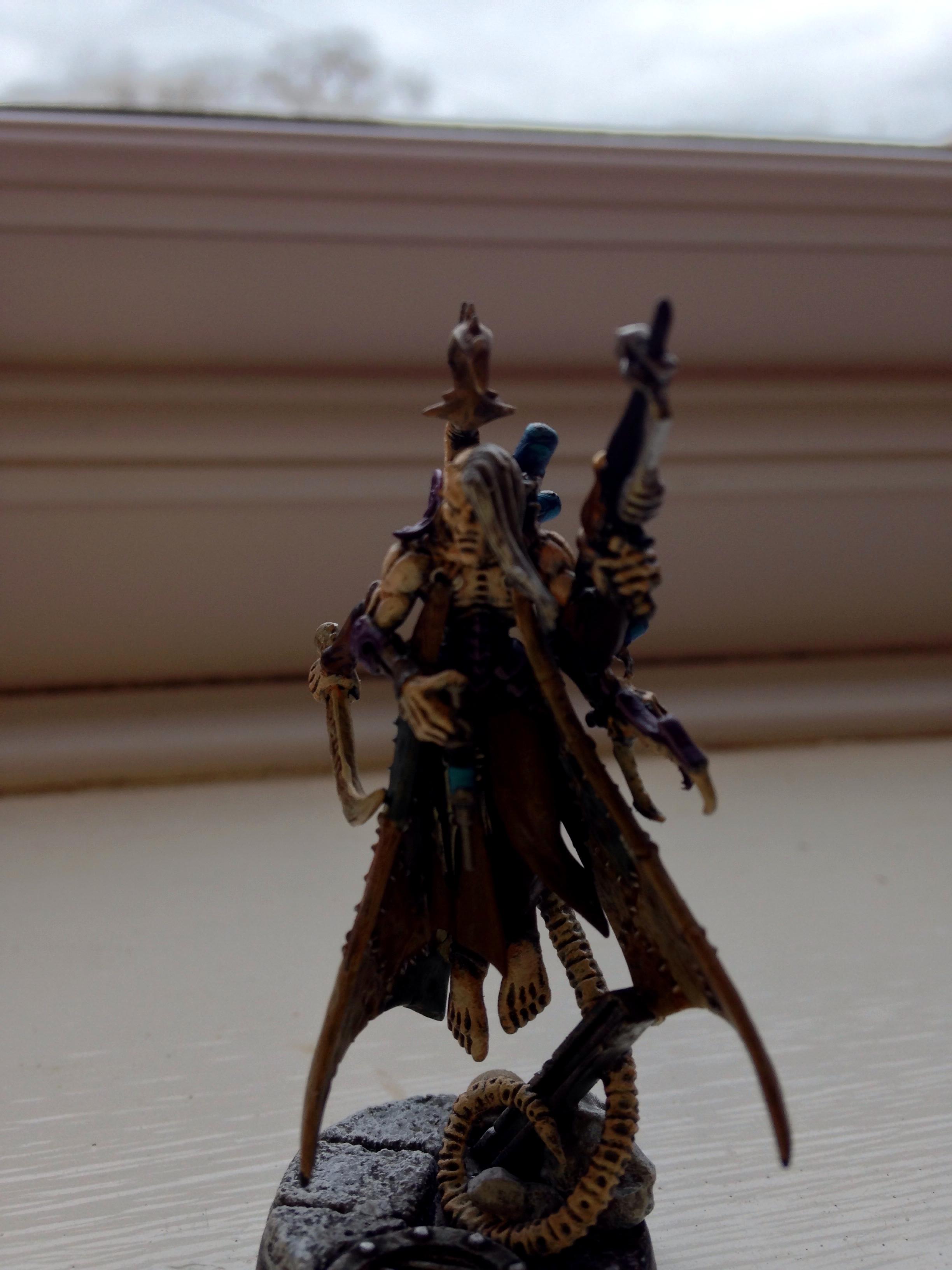 Dark Eldar Haemonculous