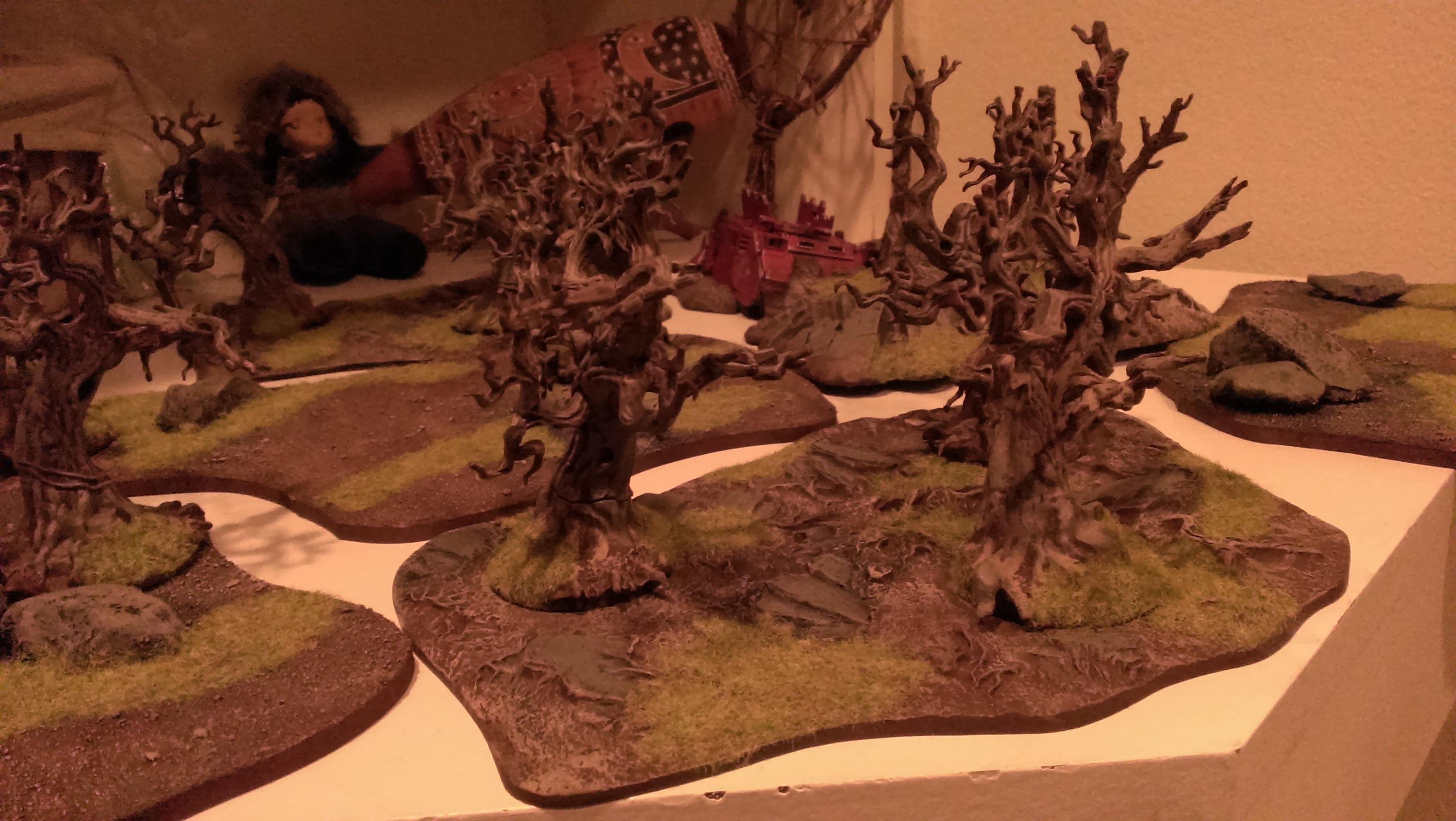 Terrain