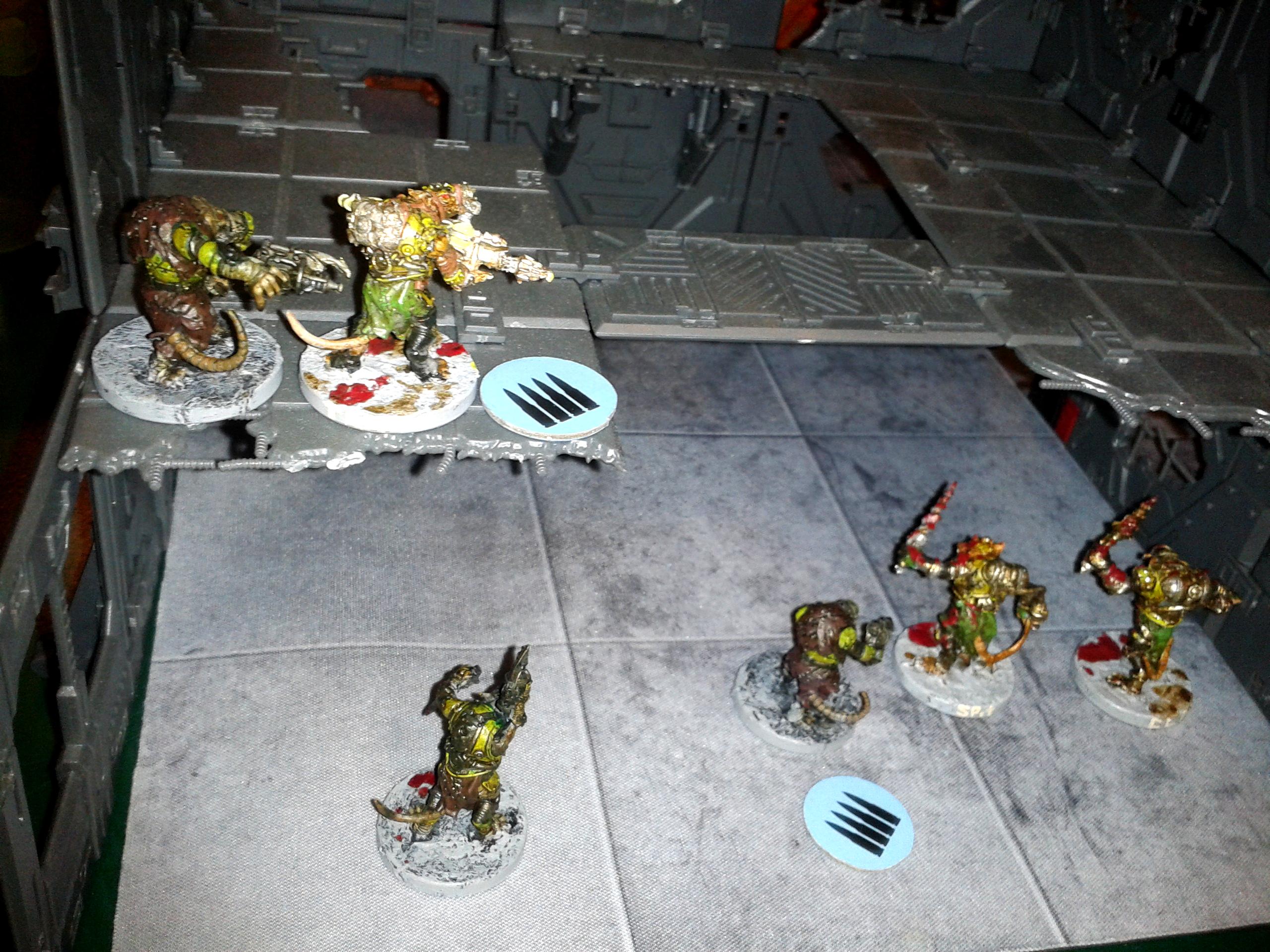 Vermin Setup