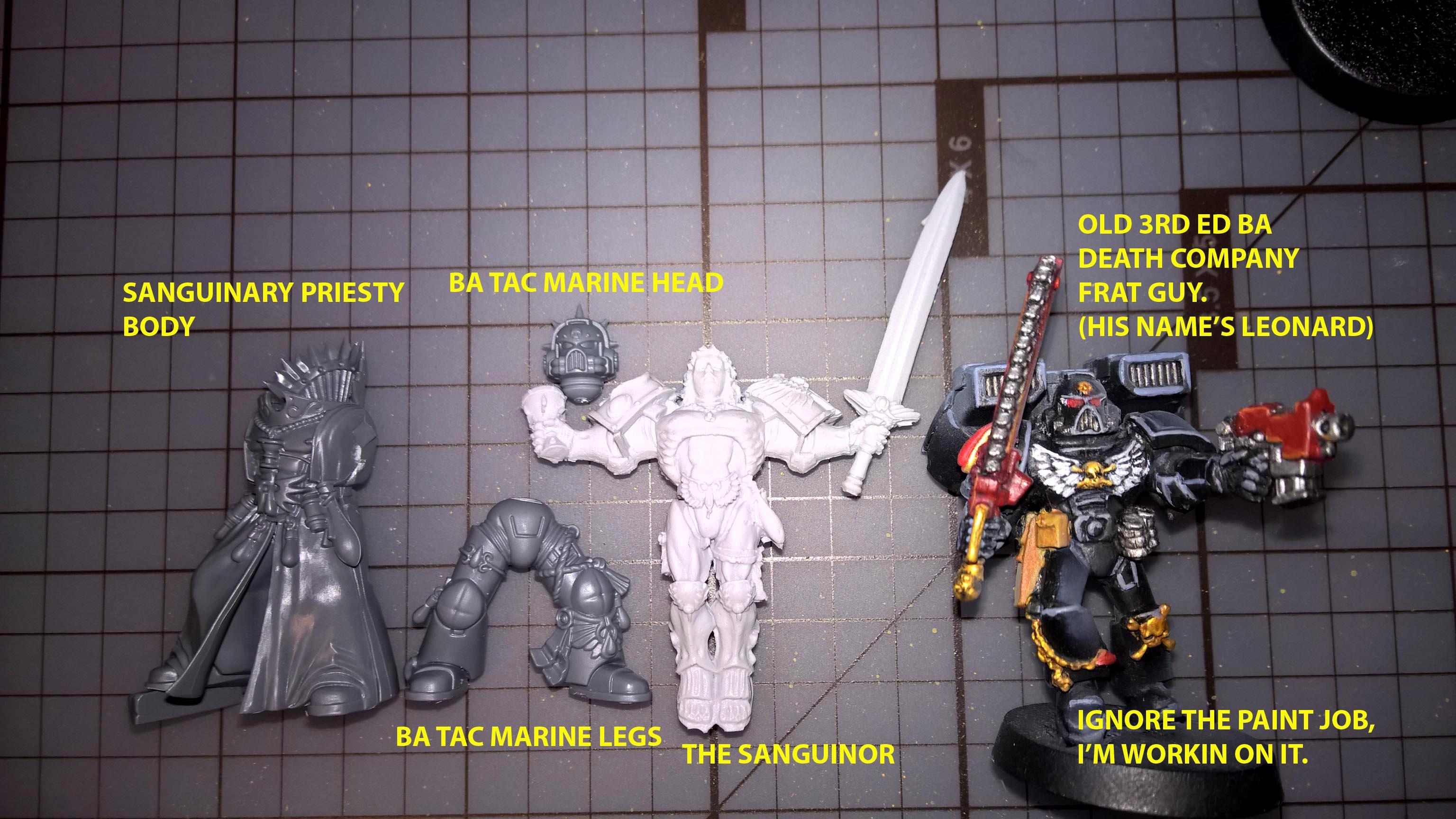 SANGUINOR SIZE COMPARISON