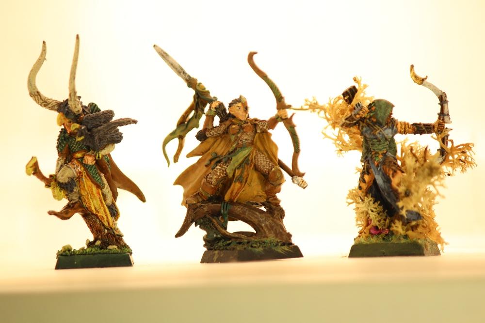 Forest, Warhammer Fantasy, Wfb, Wood Elves